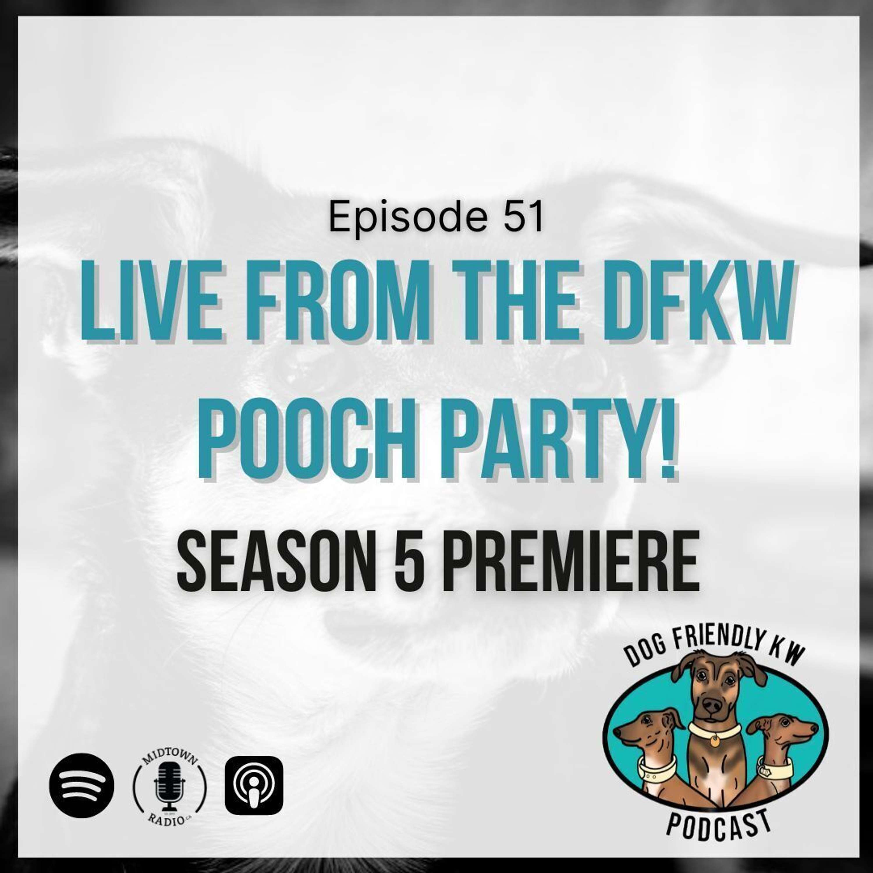 Season 5 Premiere: LIVE from DFKW Pooch Party!