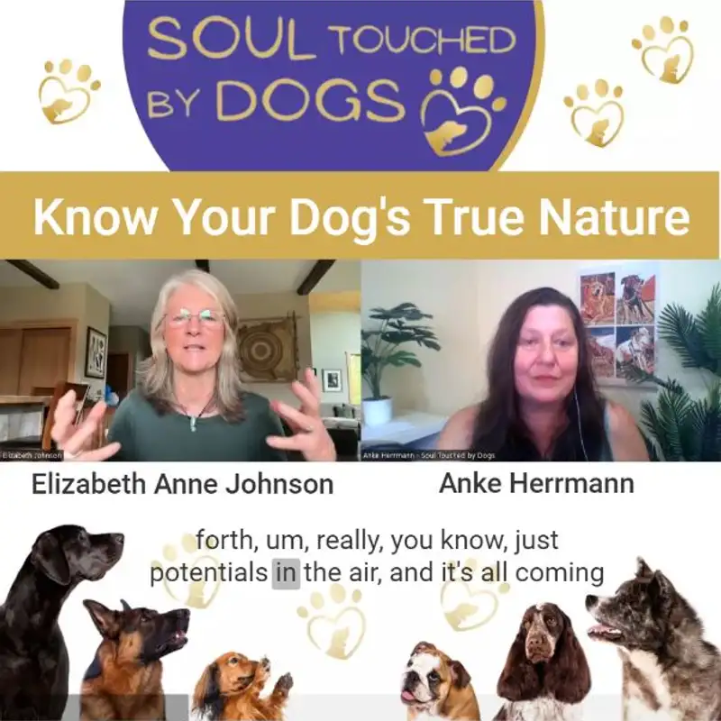 Elizabeth Anne Johnson - Know Your Dog’s True Nature