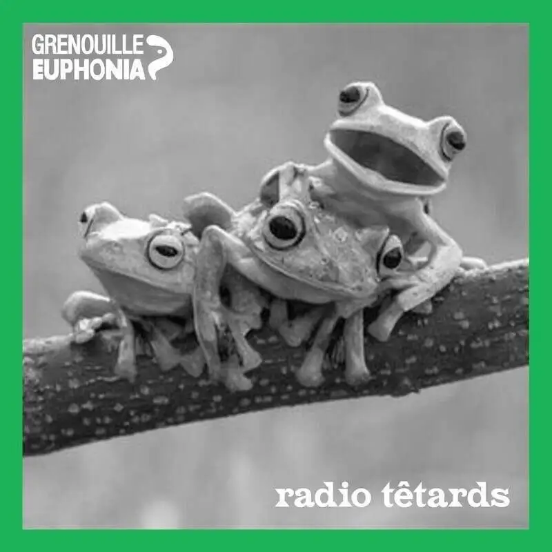 Radio Têtards #2 I Des yaourts à tout