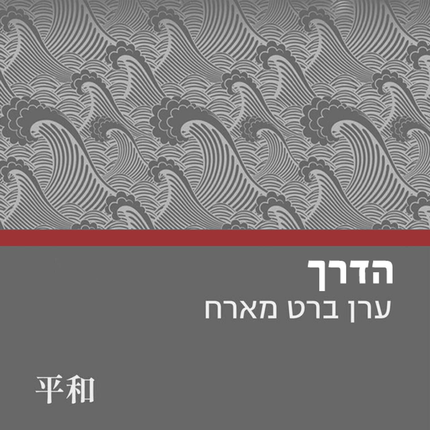 הדרך #1 - להילחם ולהינות || רז הרשקו