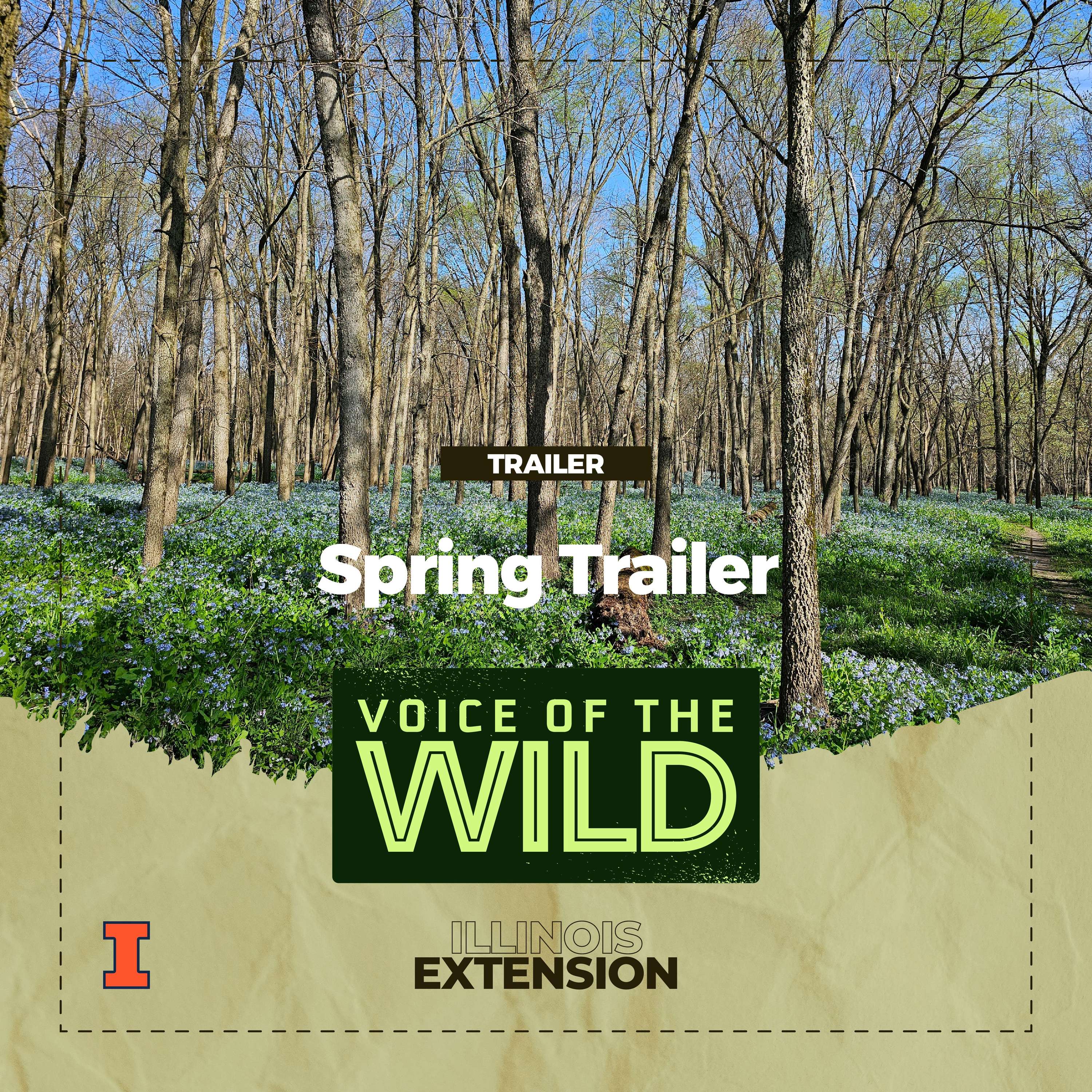 Voice of the Wild