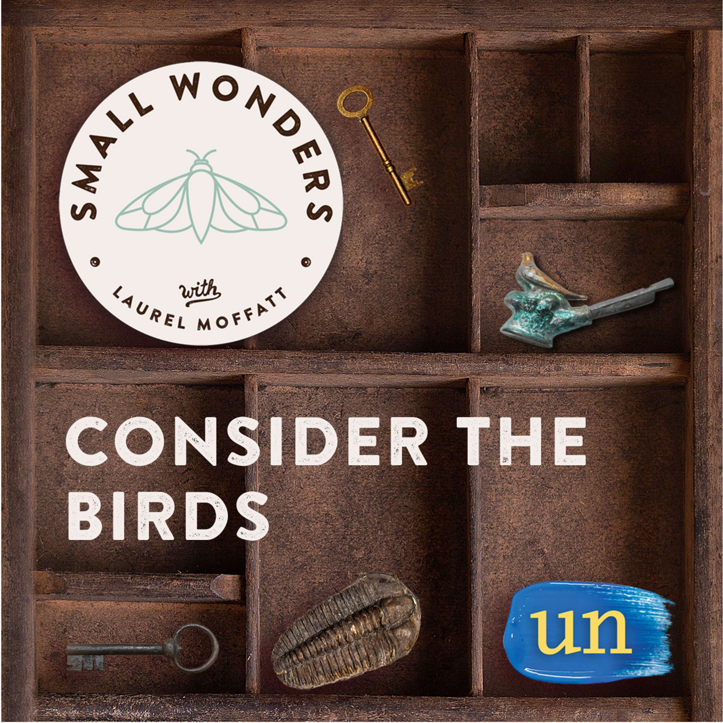Small Wonders