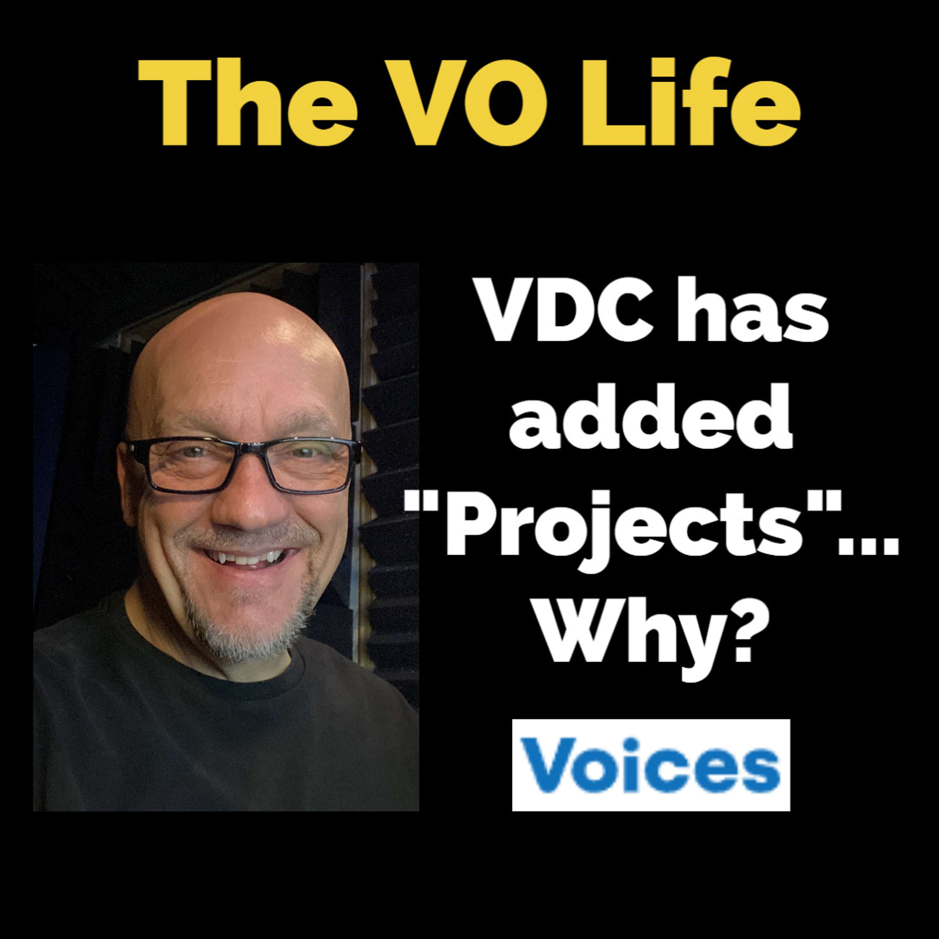 The VO Life