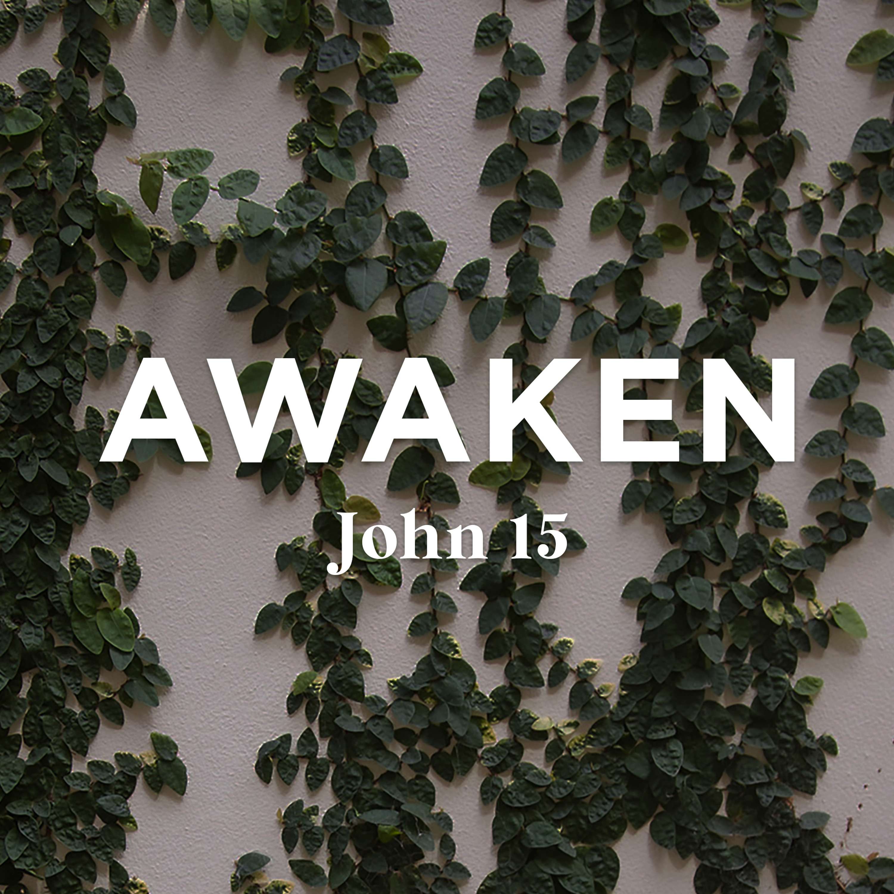 The Gift of Pruning (John 15)