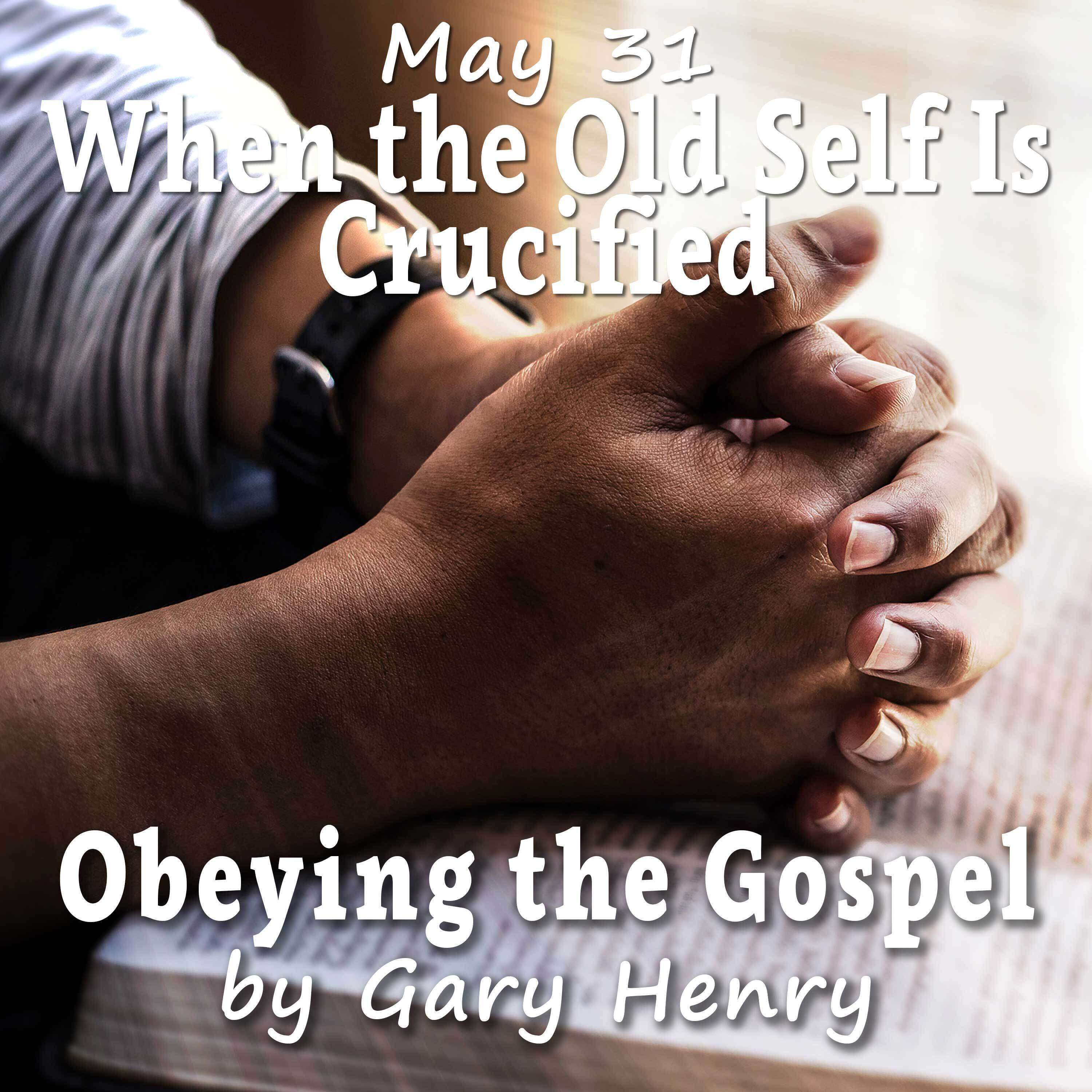 Obeying the Gospel: How (and Why) to Become a Christian