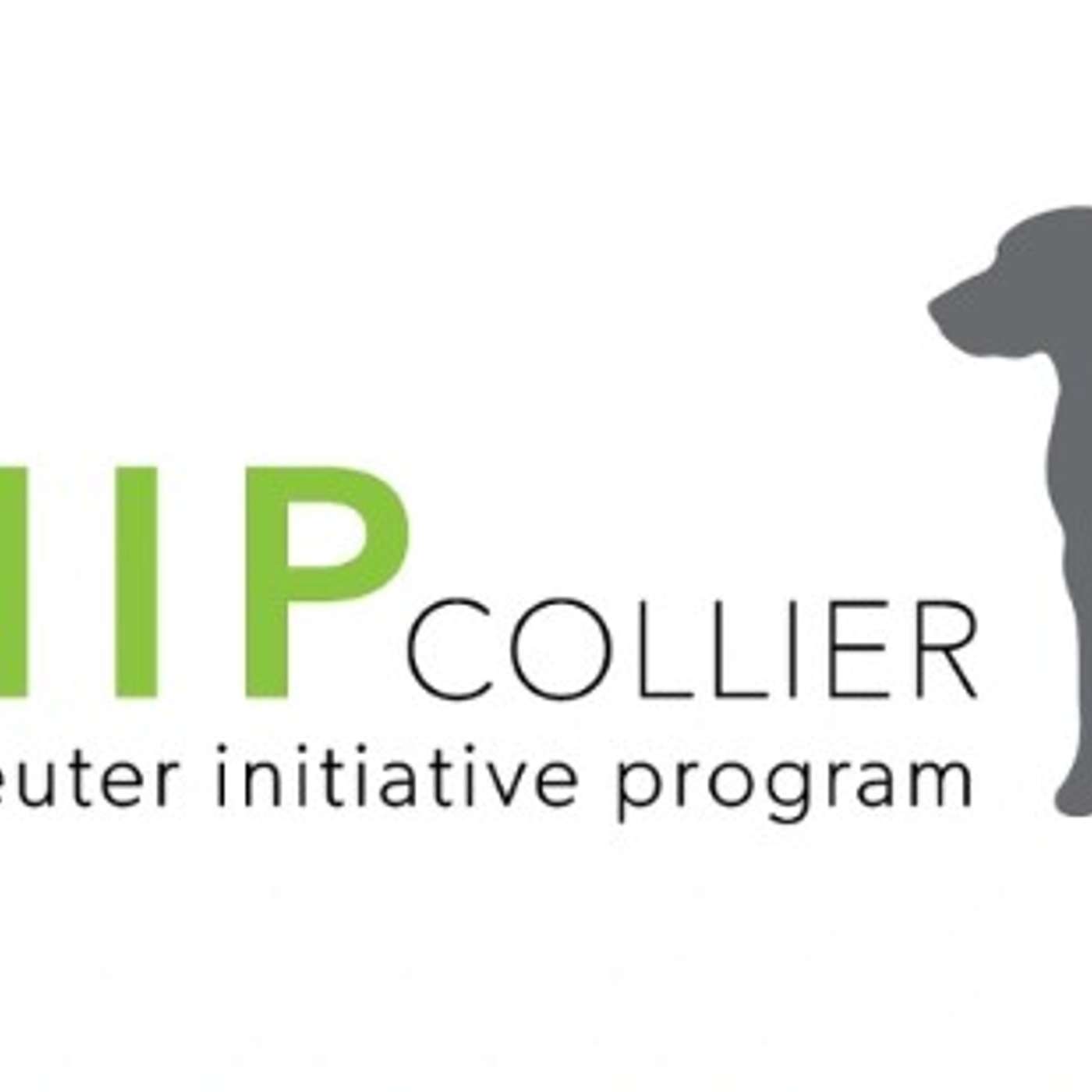The SNIP Collier Paw-dcast