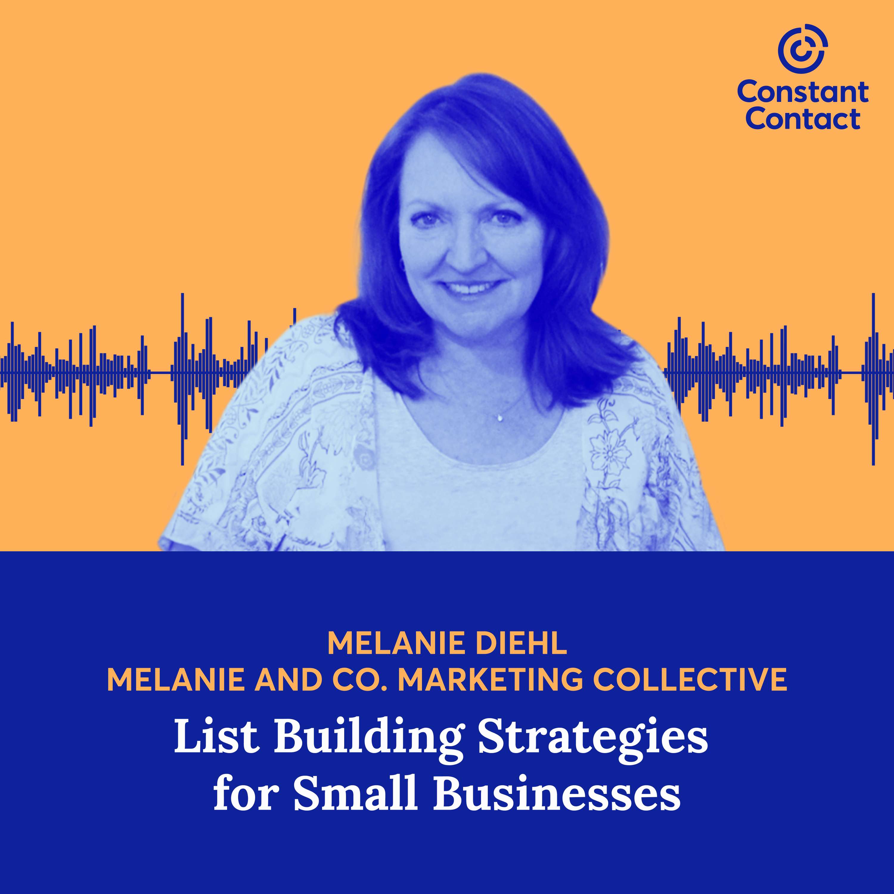 List Building Strategies for Small Businesses with Melanie Diehl