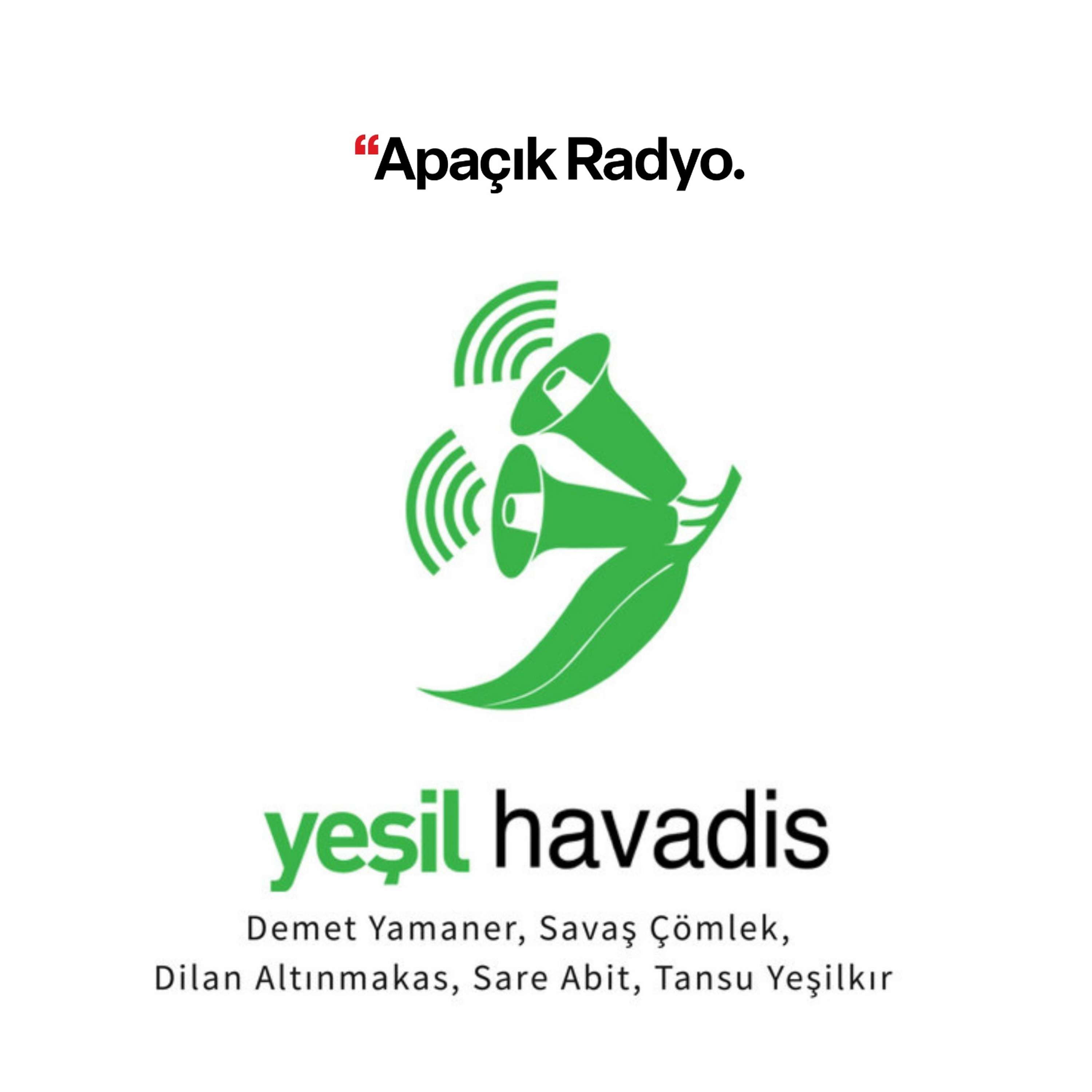 Yeşil Havadis