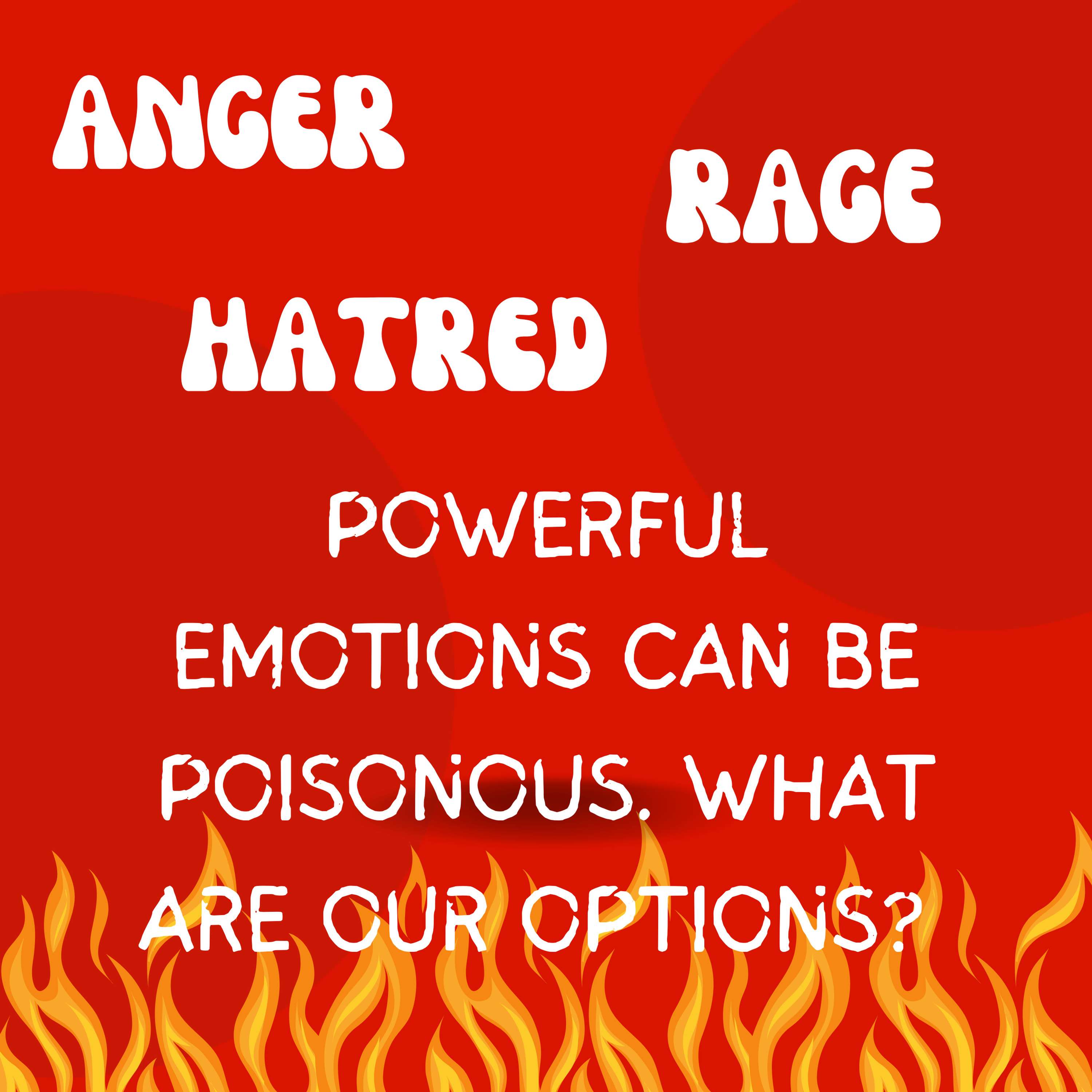 An Angry Cry for Justice episode artwork