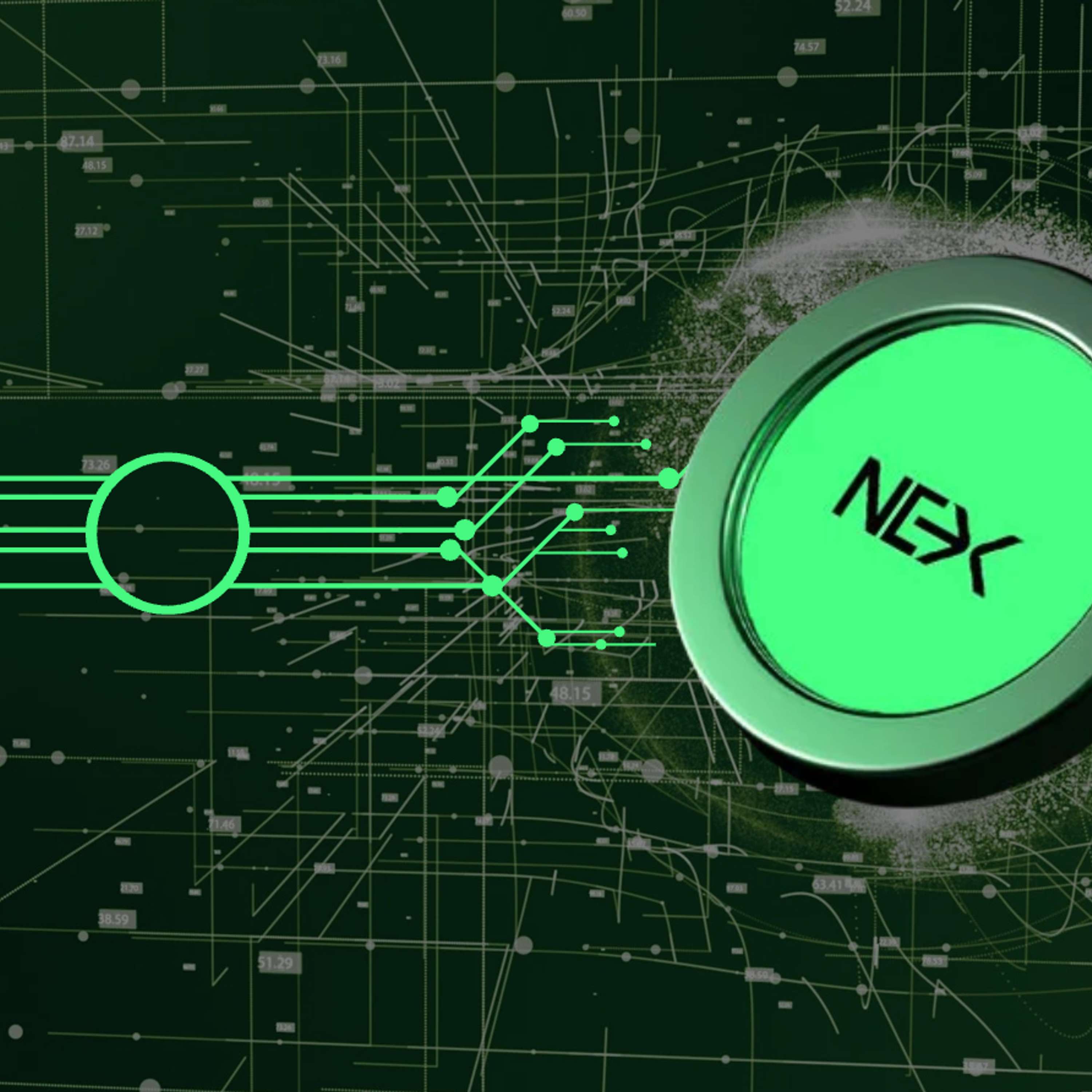 The Rise of Hybrid Blockchains: Nexchain and the Evolving Crypto Landscape