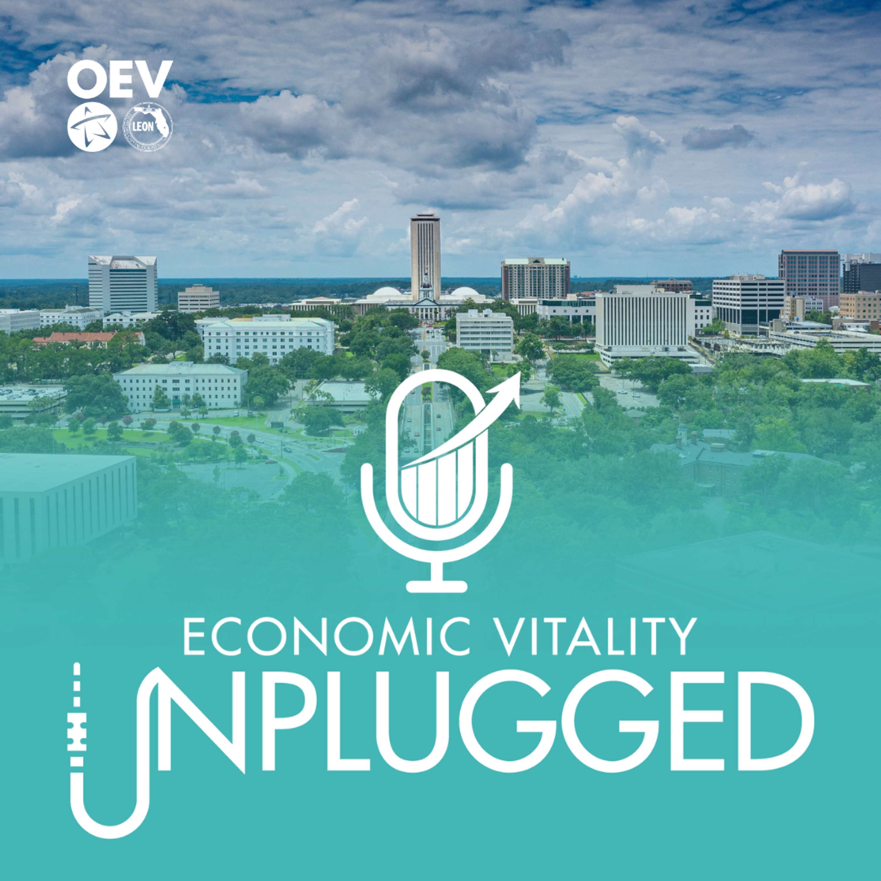 Economic Vitality Unplugged