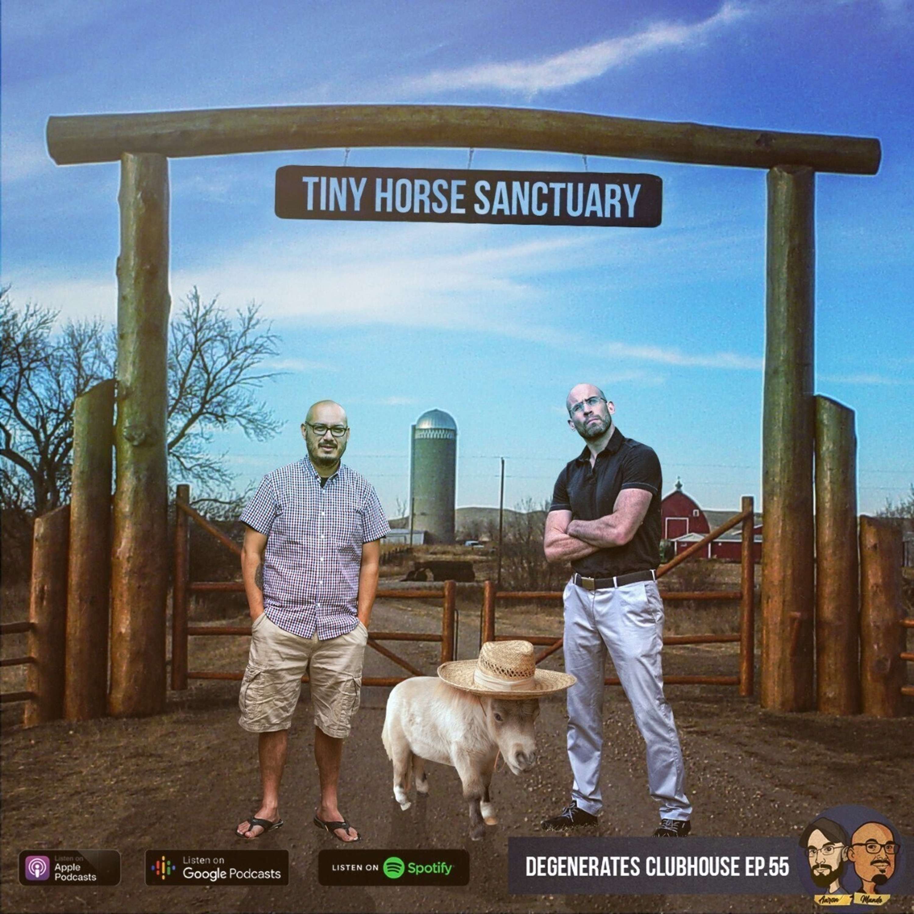The Degenerates Clubhouse
