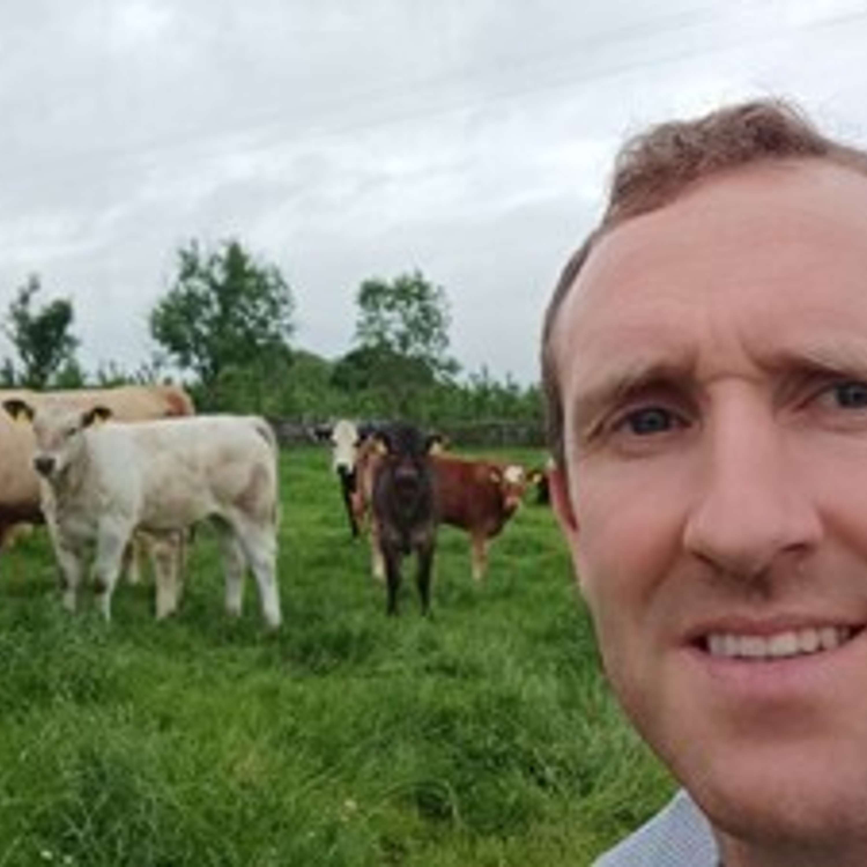 Galway farmer, Aonghusa Fahy on preparing for calving, calving the cow and caring for the newborn calf