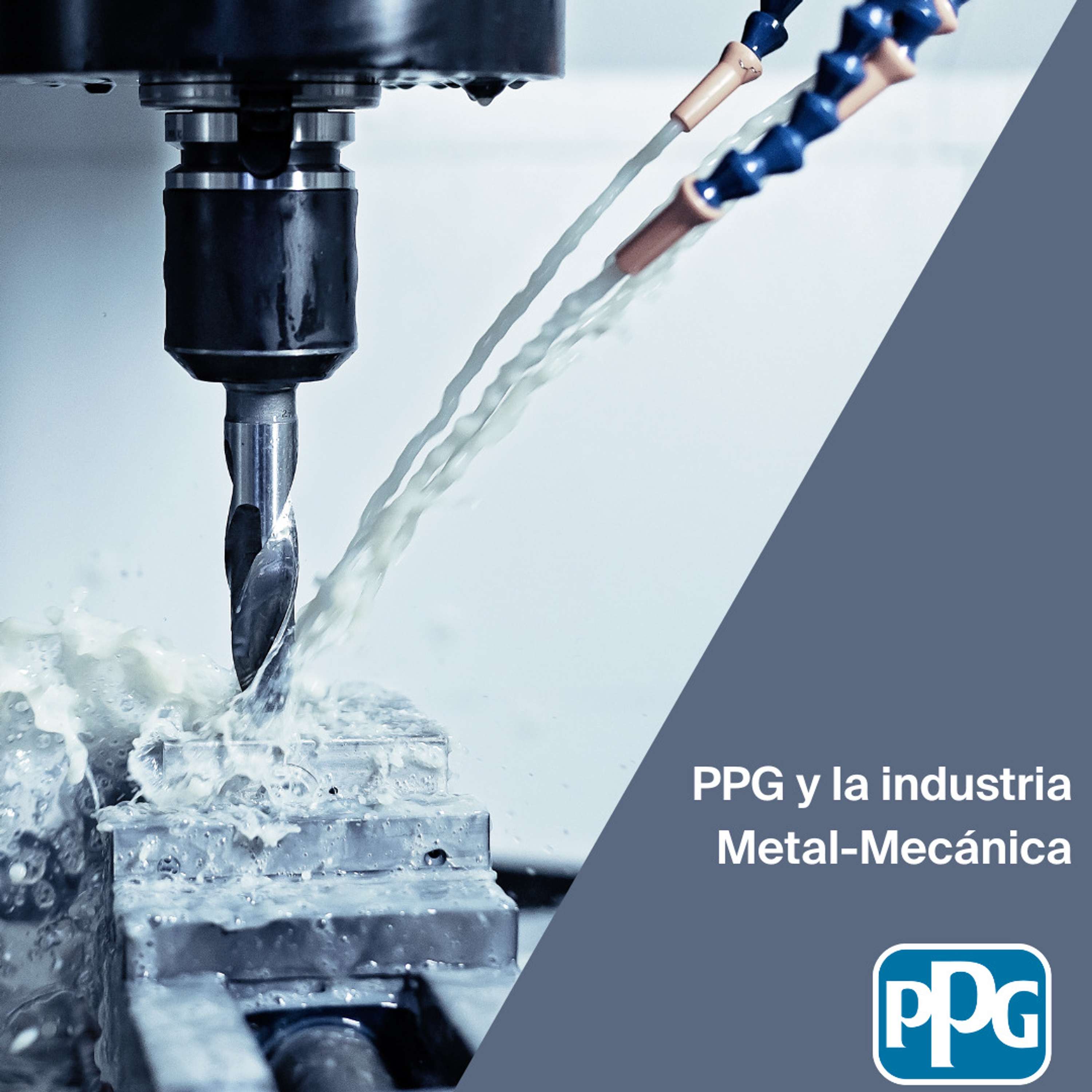 Ep. 9: PPG y la industria metal-mecánica