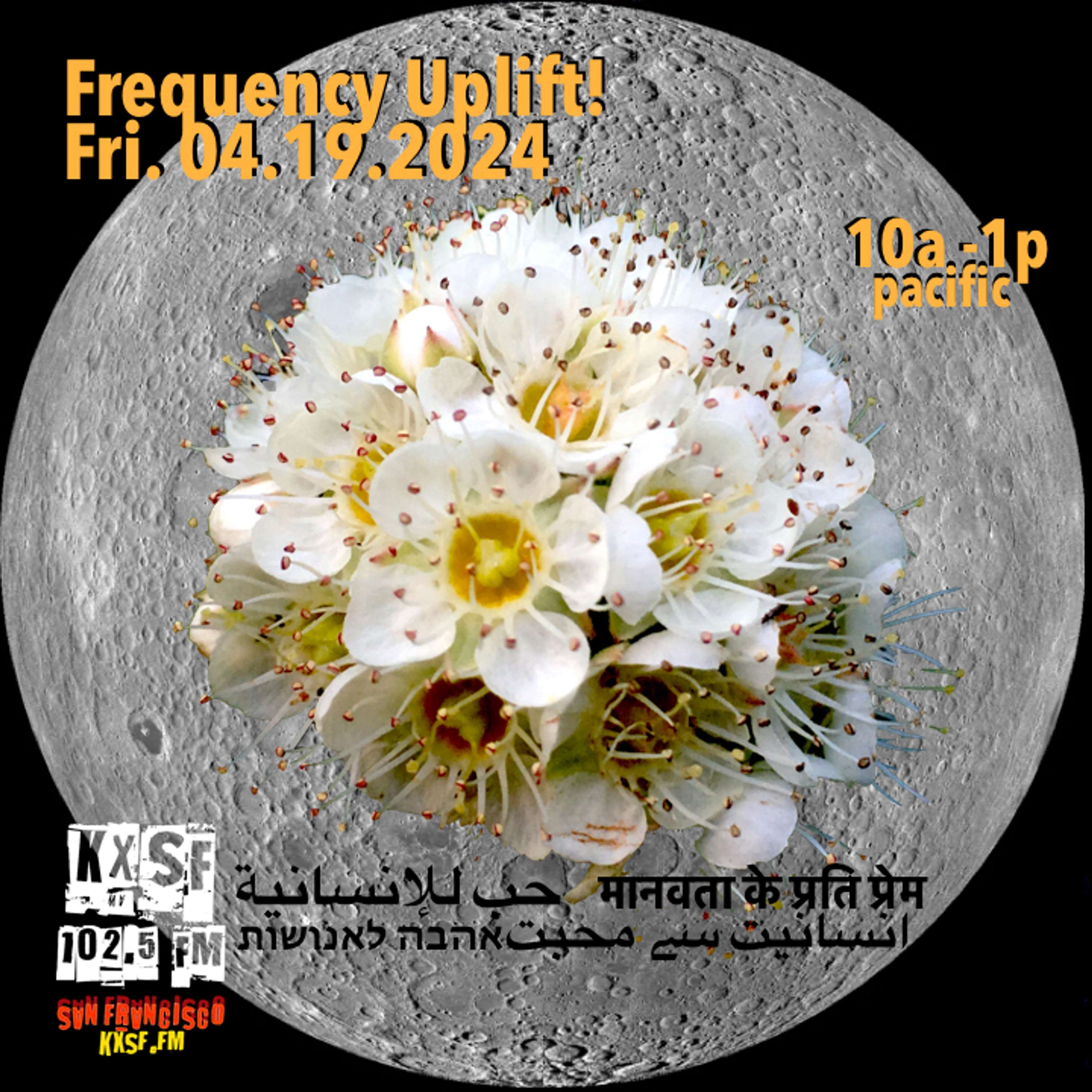 Frequency Uplift!