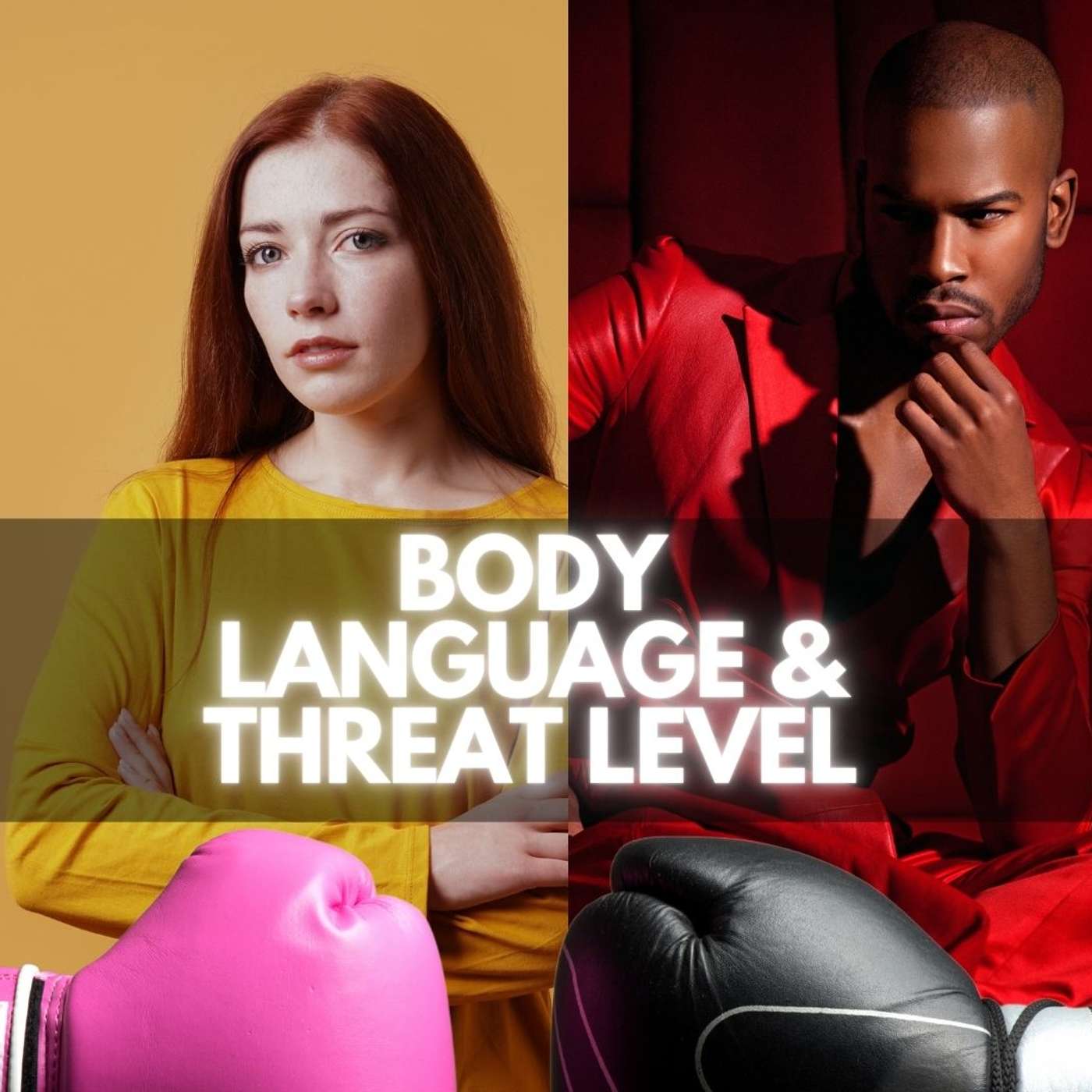 Body Language and Threat Level: How Top Manipulators Navigate People's Defenses Body Language and Threat Level: How Top Manipulators Navigate People's Defenses