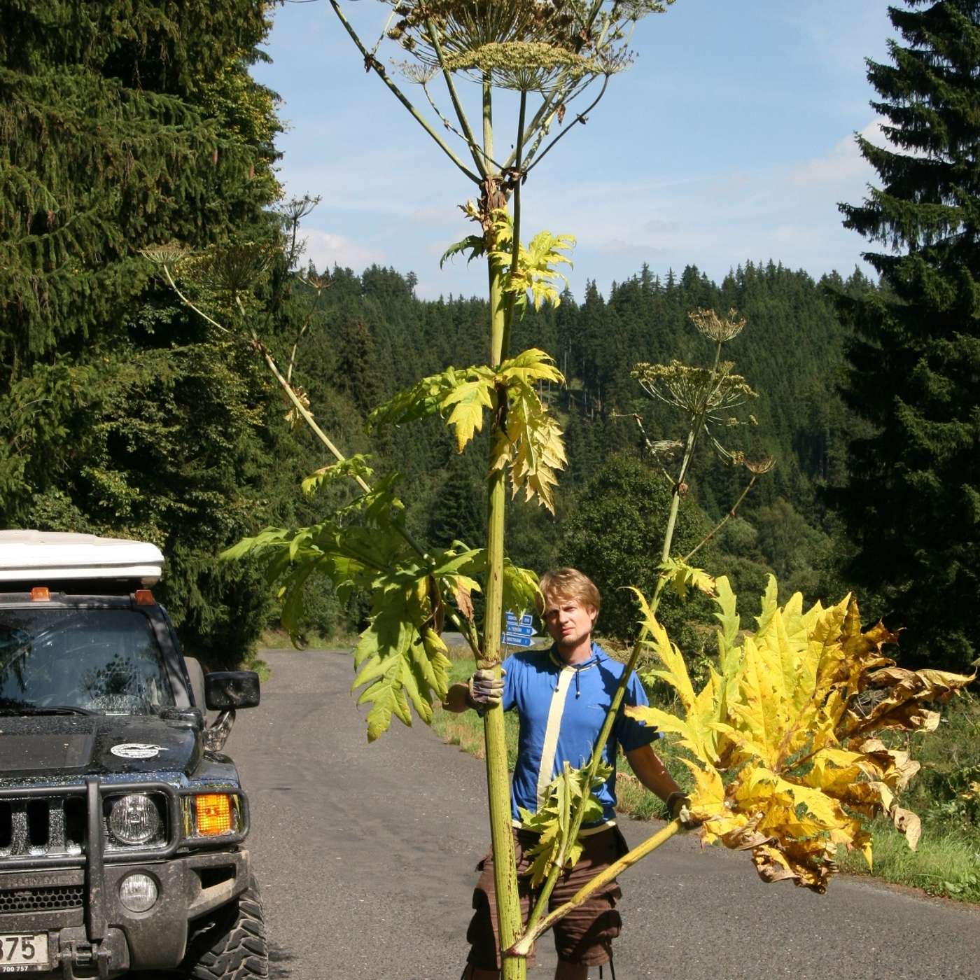 Bolševník nepřivezl do Čech bolševik ale Metternich