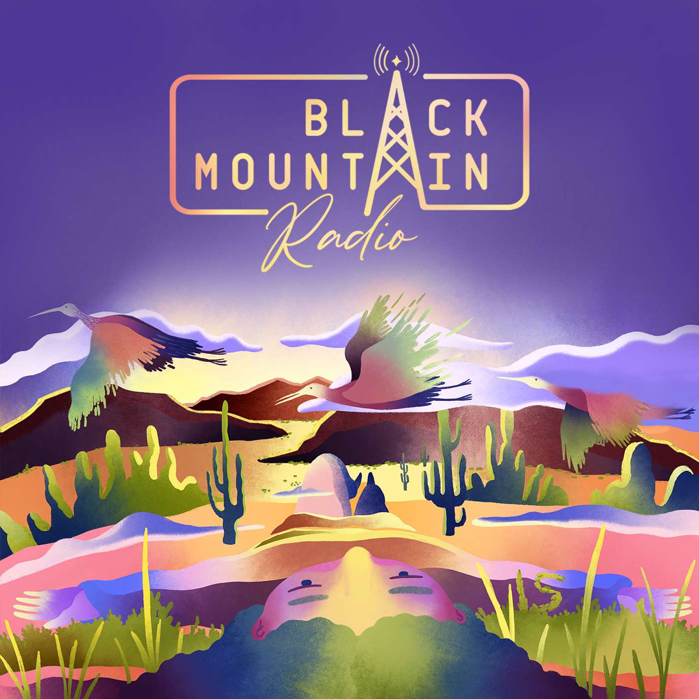 Resist the Audio Archive