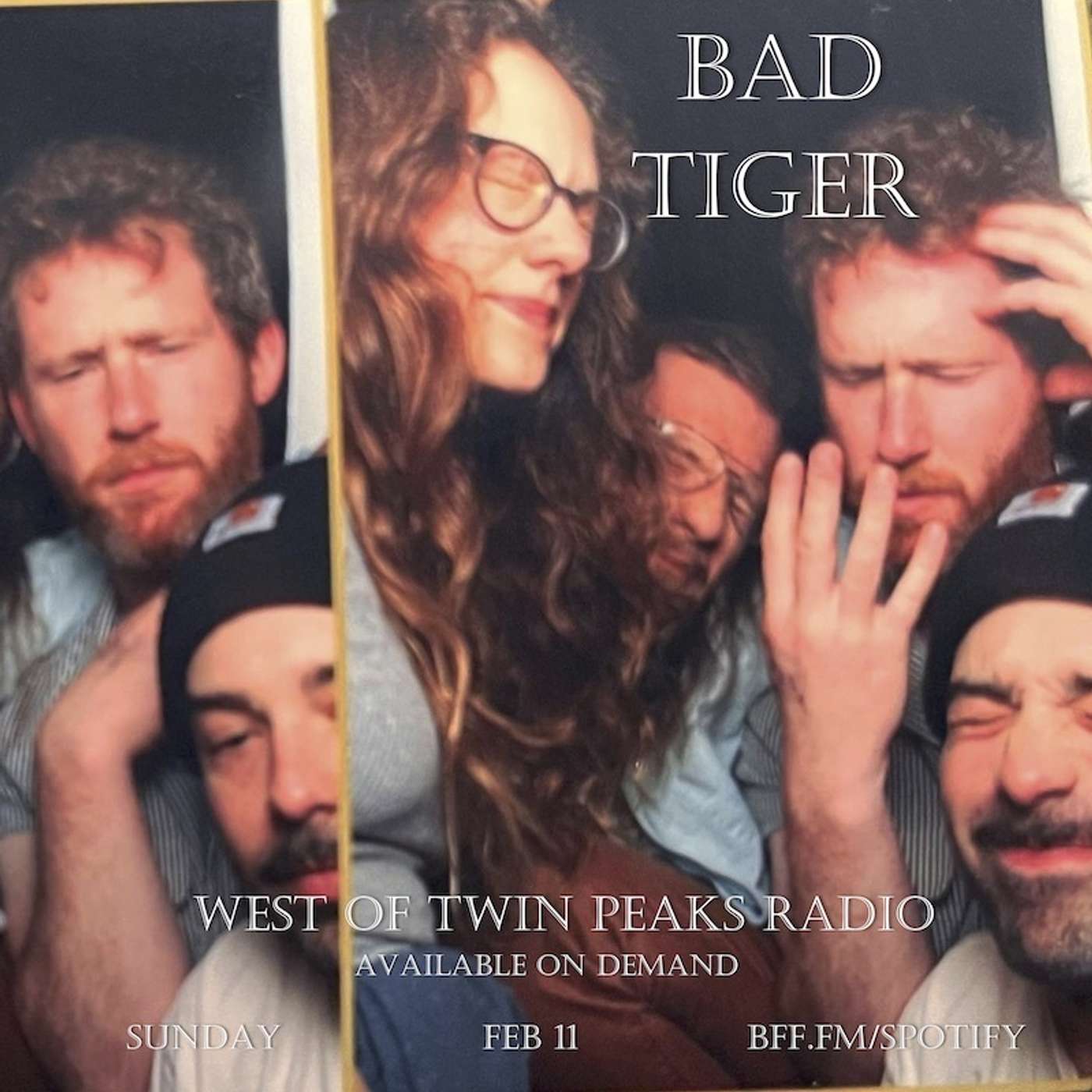 #199 - Bad Tiger
