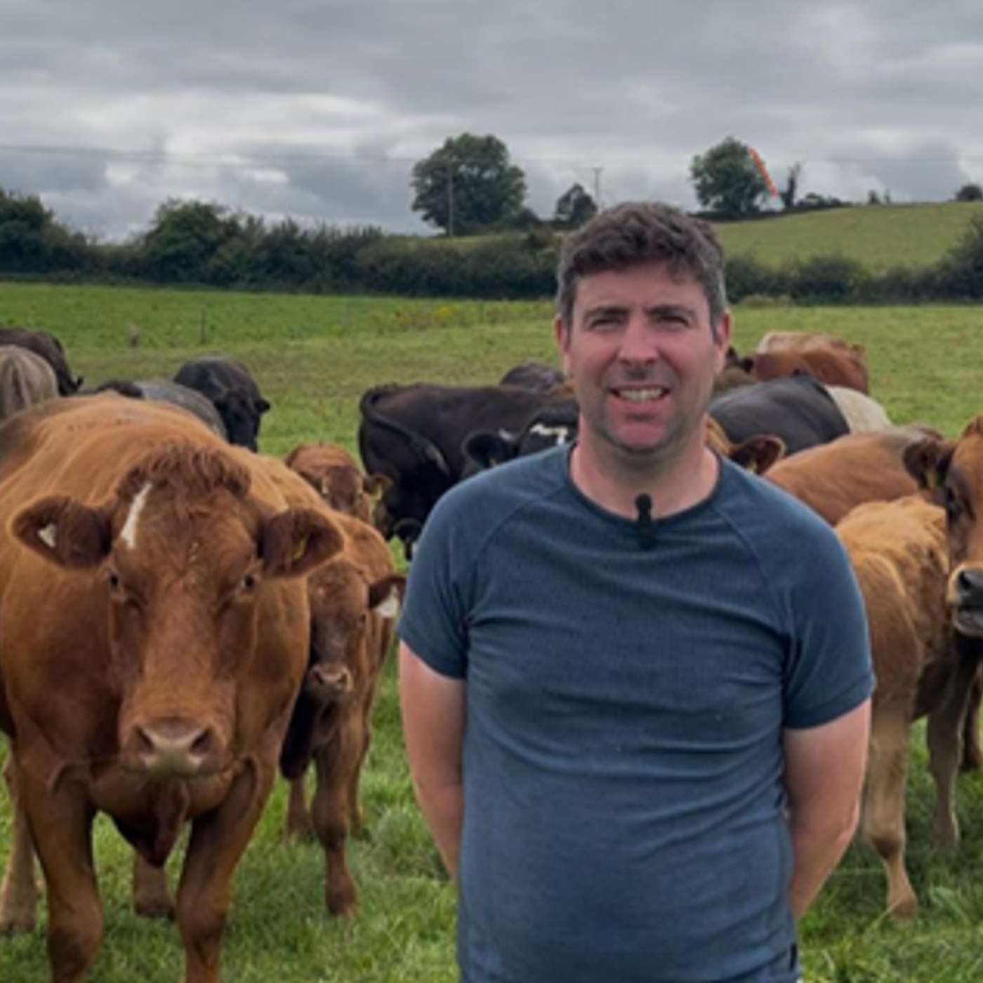 Efficiency That Pays: Grass, Breeding & Better Results with John Barry