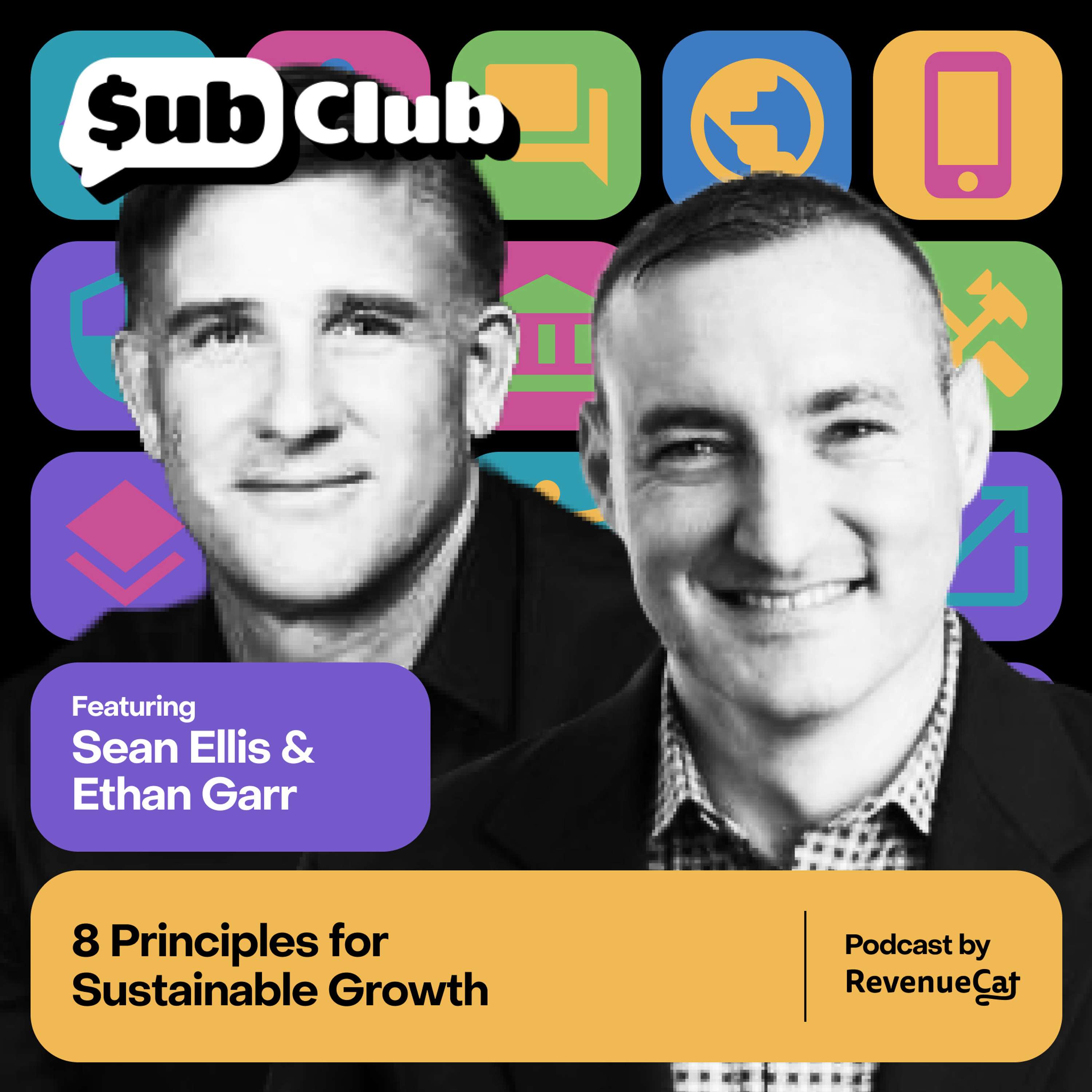 8 Principles for Sustainable Growth — Sean Ellis & Ethan Garr, Breakout Growth - podcast episode cover