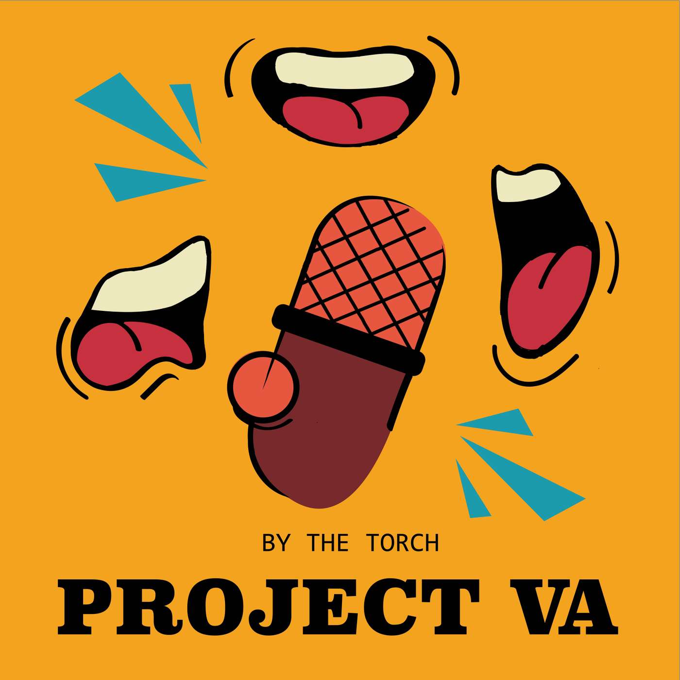 Project VA