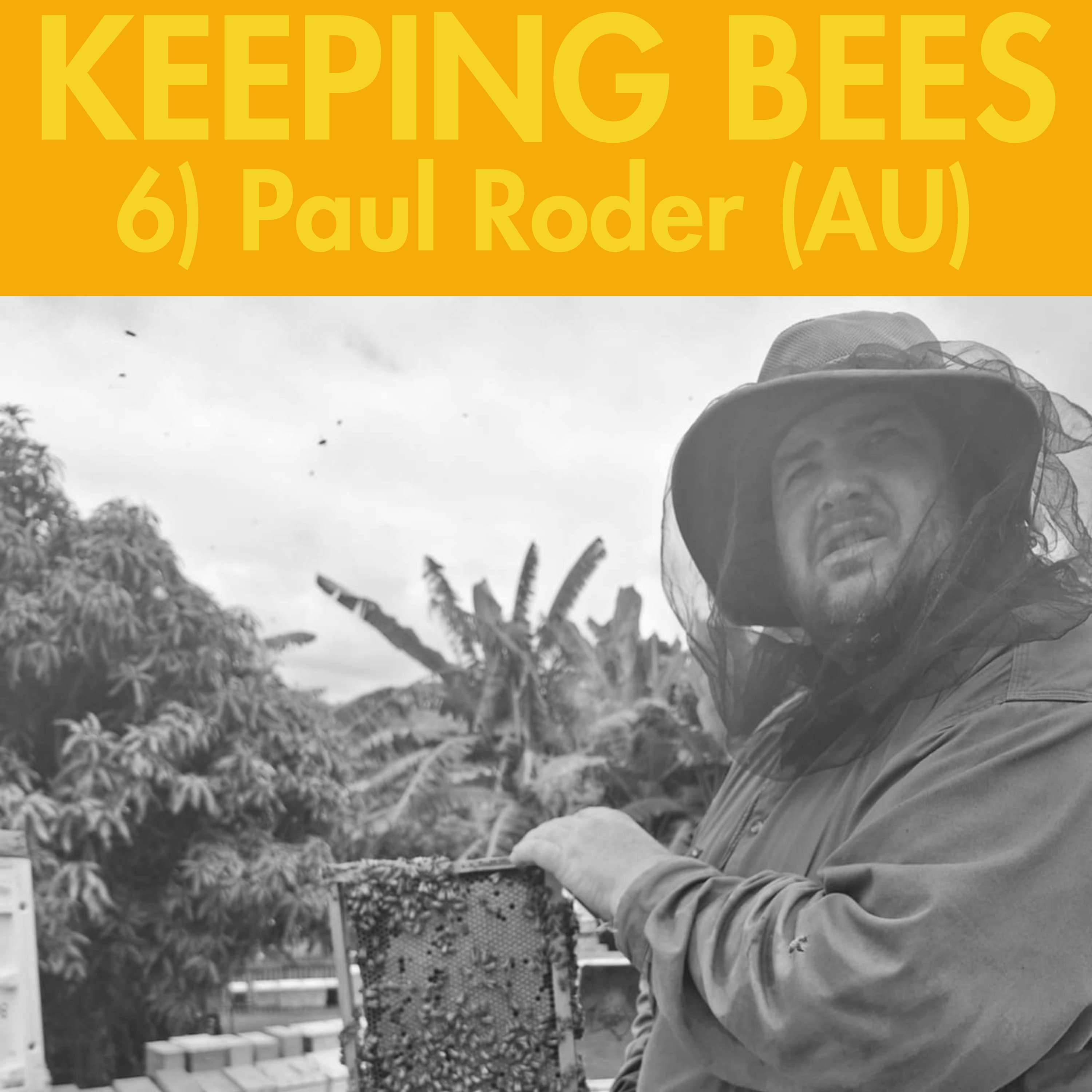 Keeping Bees
