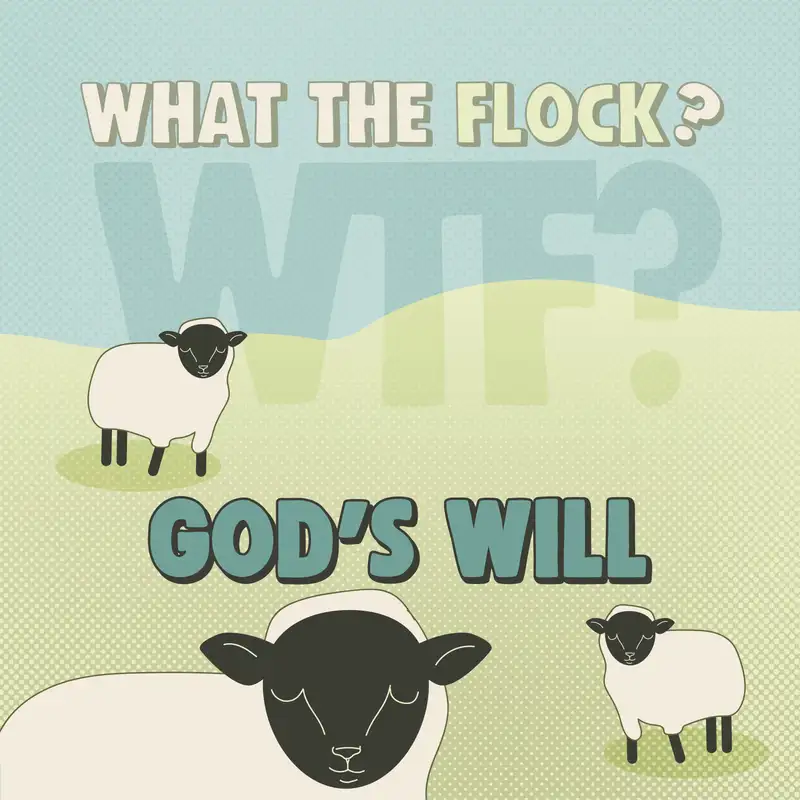 5-11 God's Will Part 1: God's Three Plans