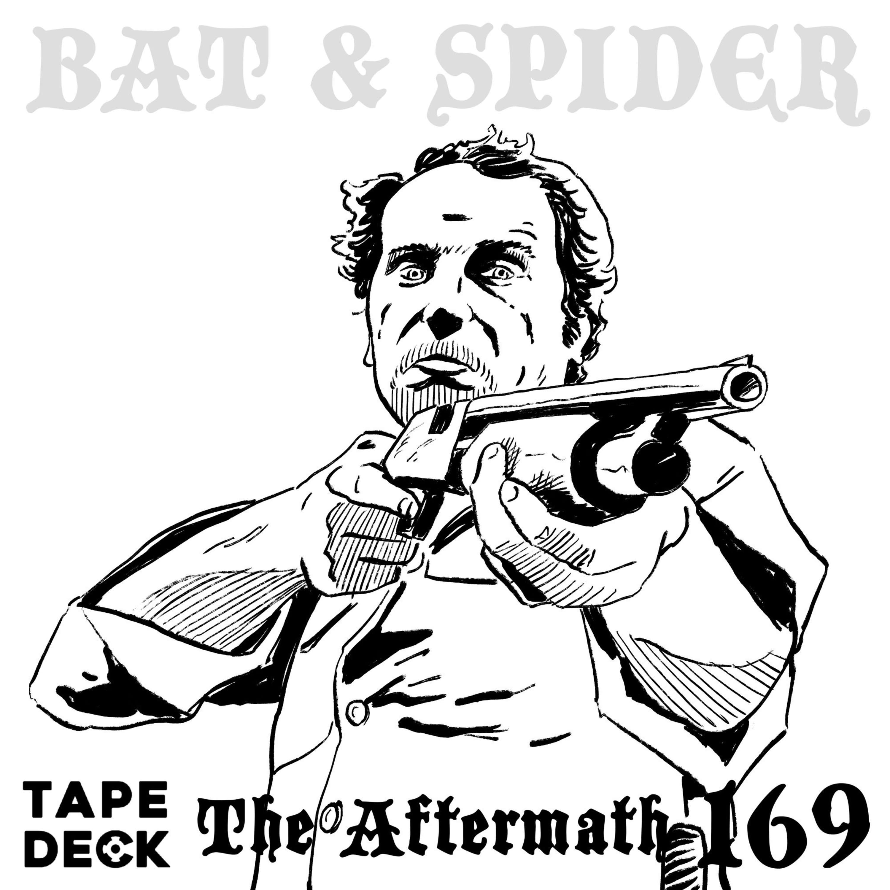 BAT AND SPIDER