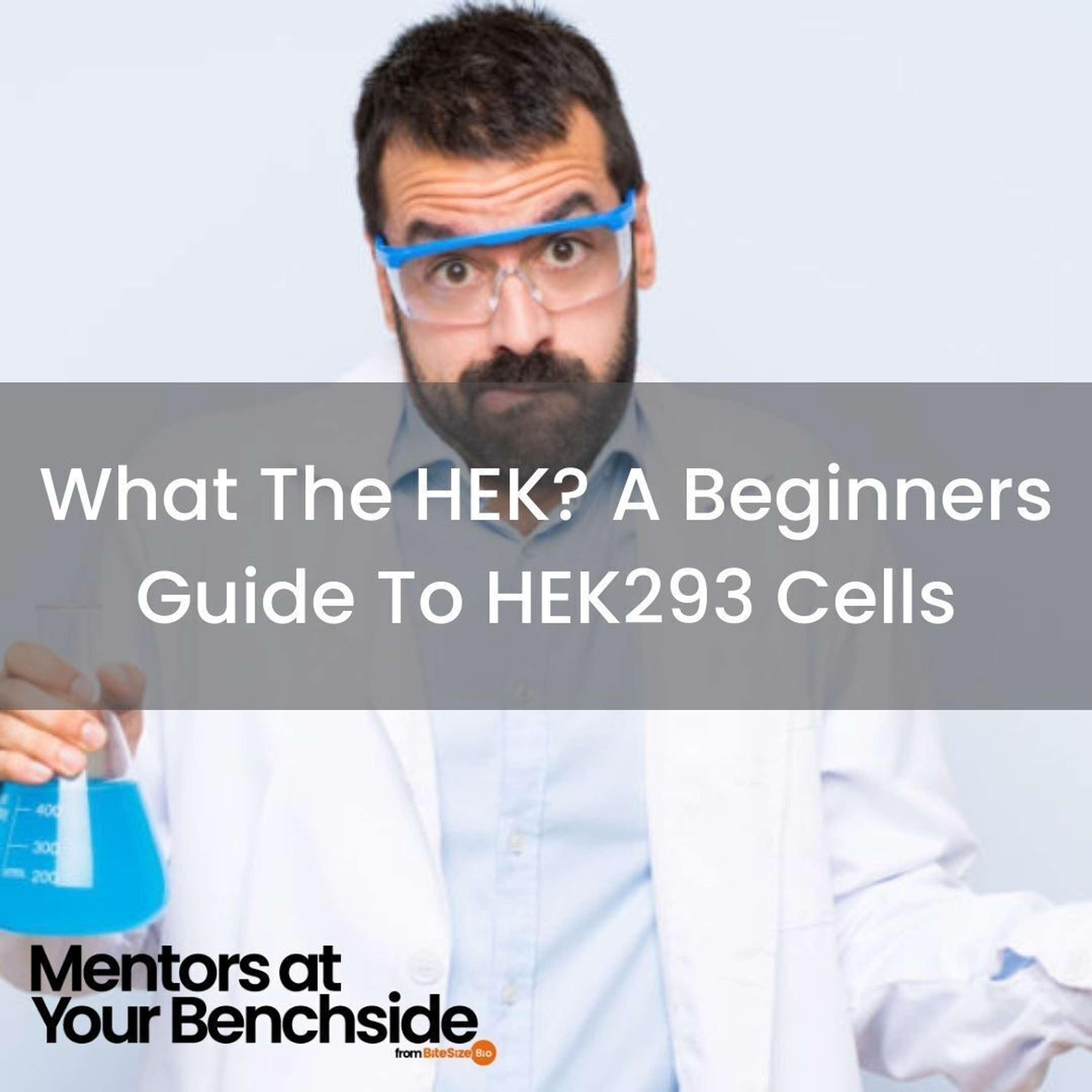 Mentors at Your Benchside