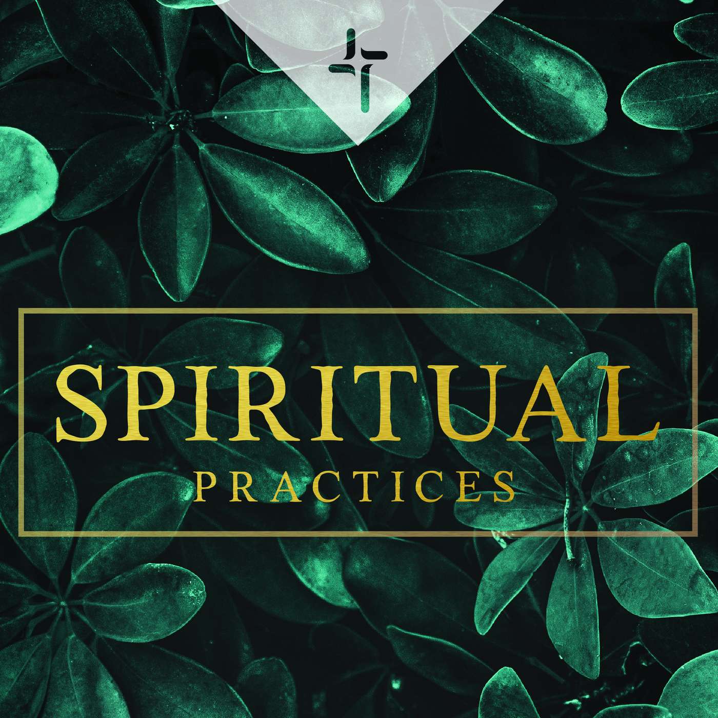 Spiritual Practices