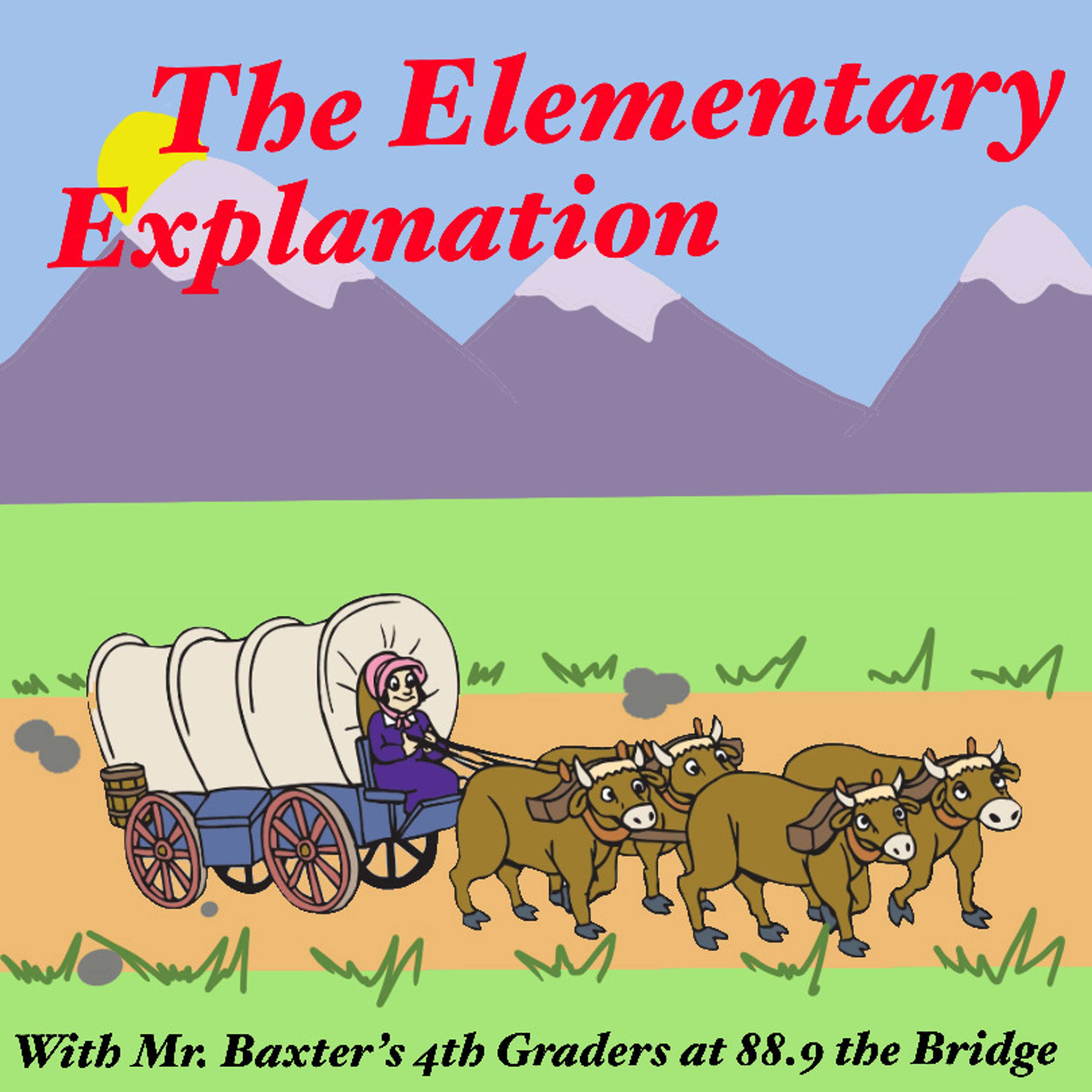 4th Graders Present: The Elementary Explanation