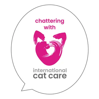 Artwork for Recognising feline pain: it's complicated!