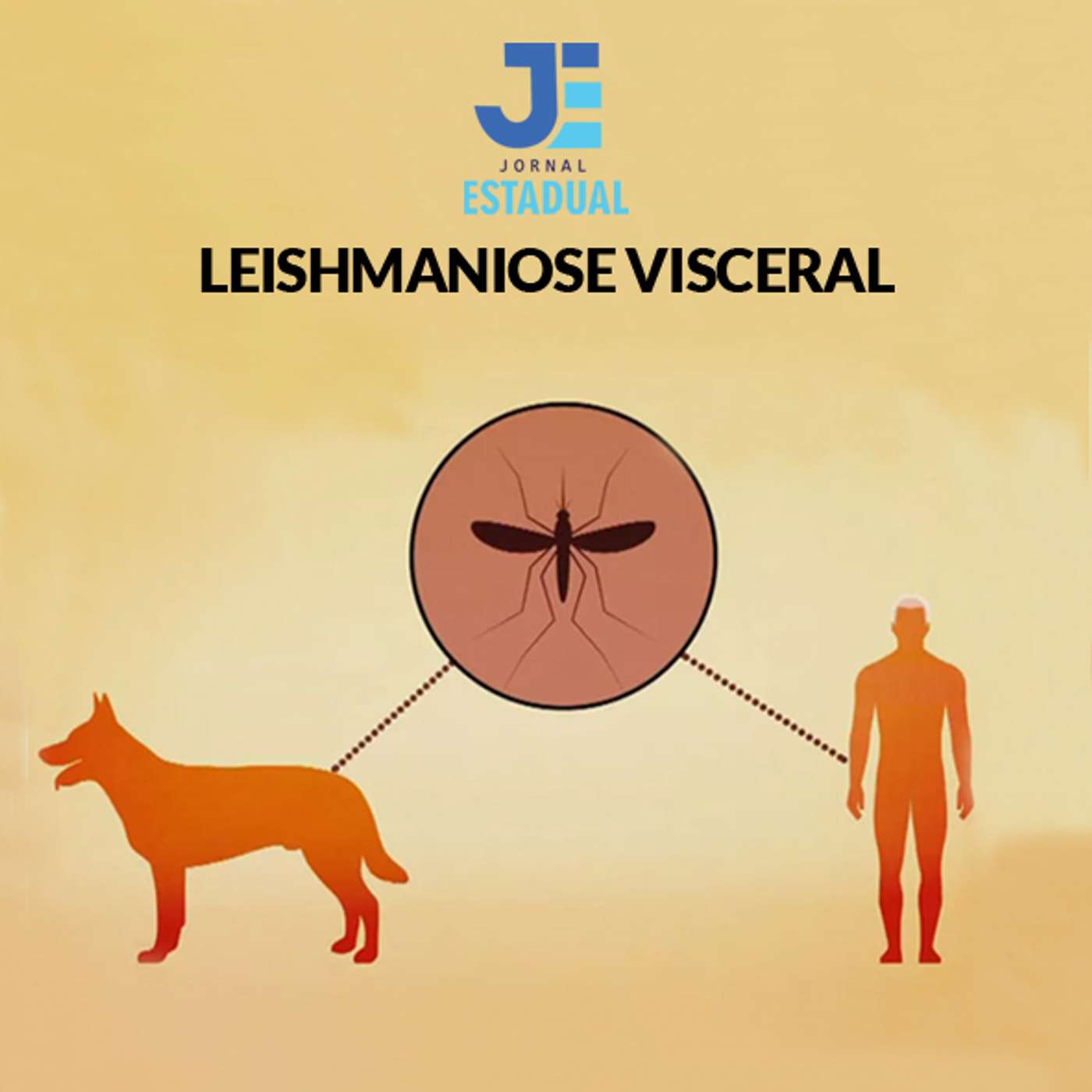 Matéria - Leishmaniose Visceral episode artwork