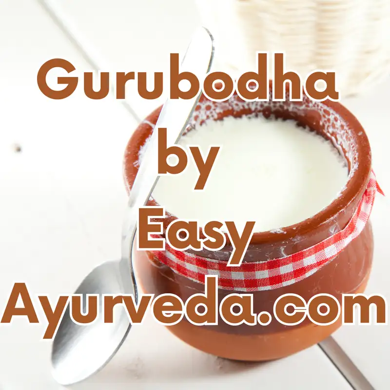 GURUBODHA 68: Rules For Intake of Curd, Buttermilk, Mishti Doi, Jaggery, Old Ghee