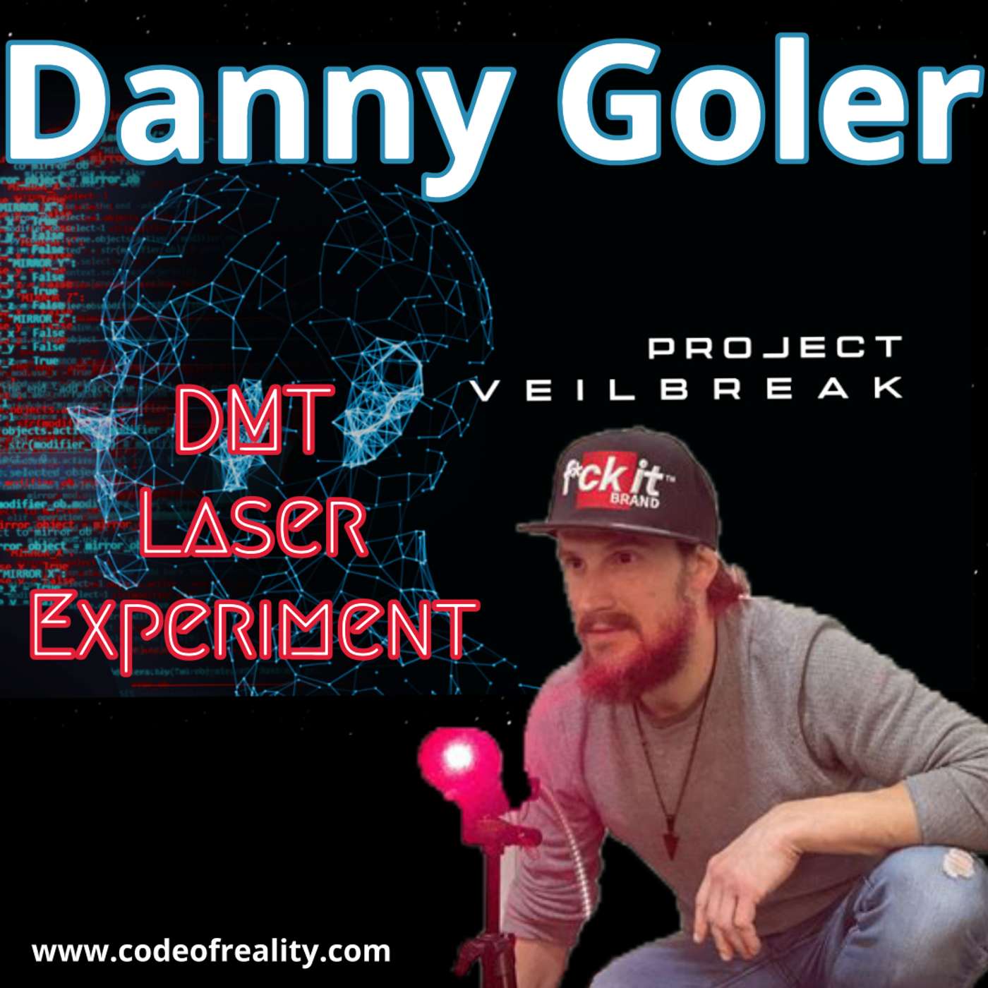 The DMT Code: Danny Goler on Proving We Live in a Simulation The DMT Code: Danny Goler on Proving We Live in a Simulation