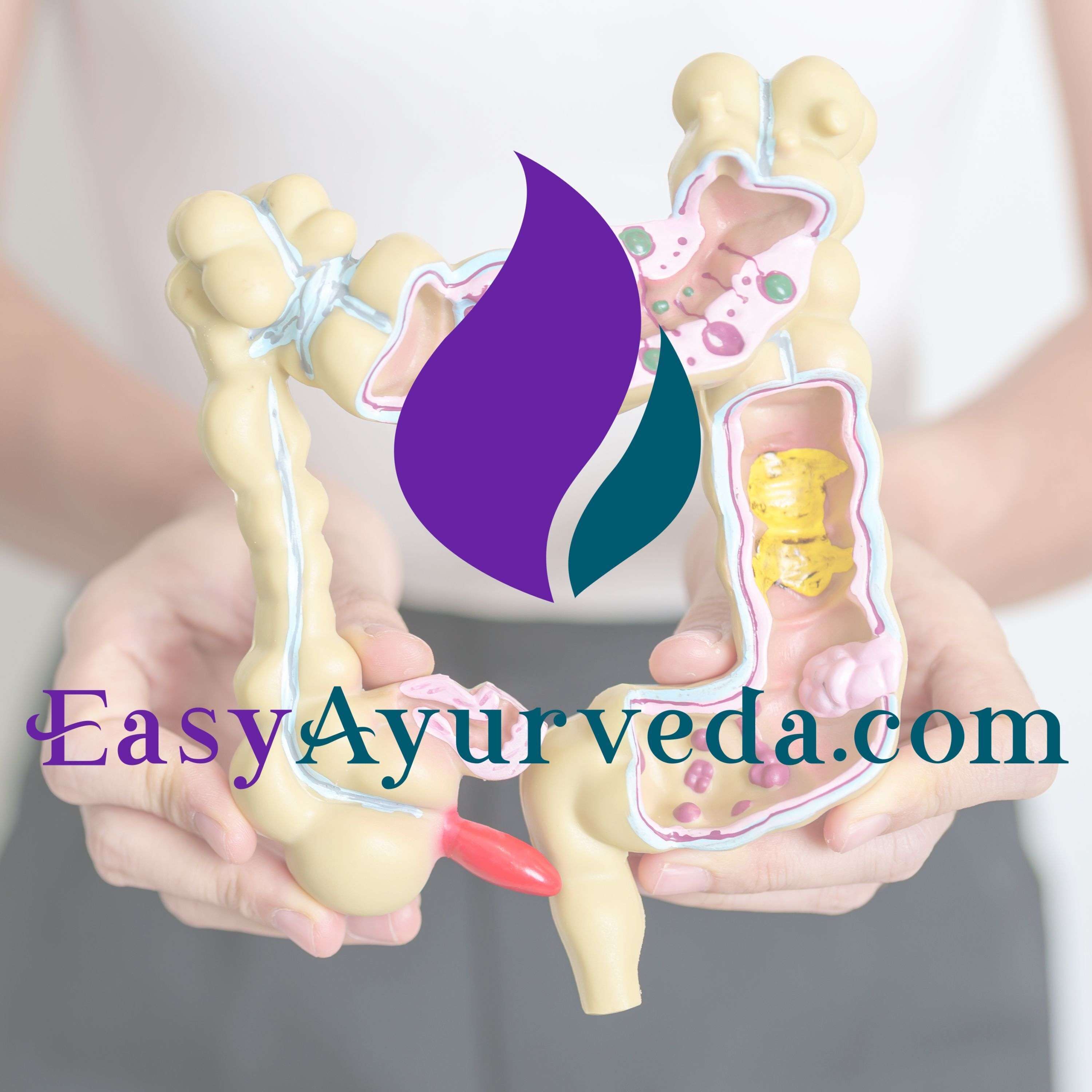 Easy Ayurveda Podcast