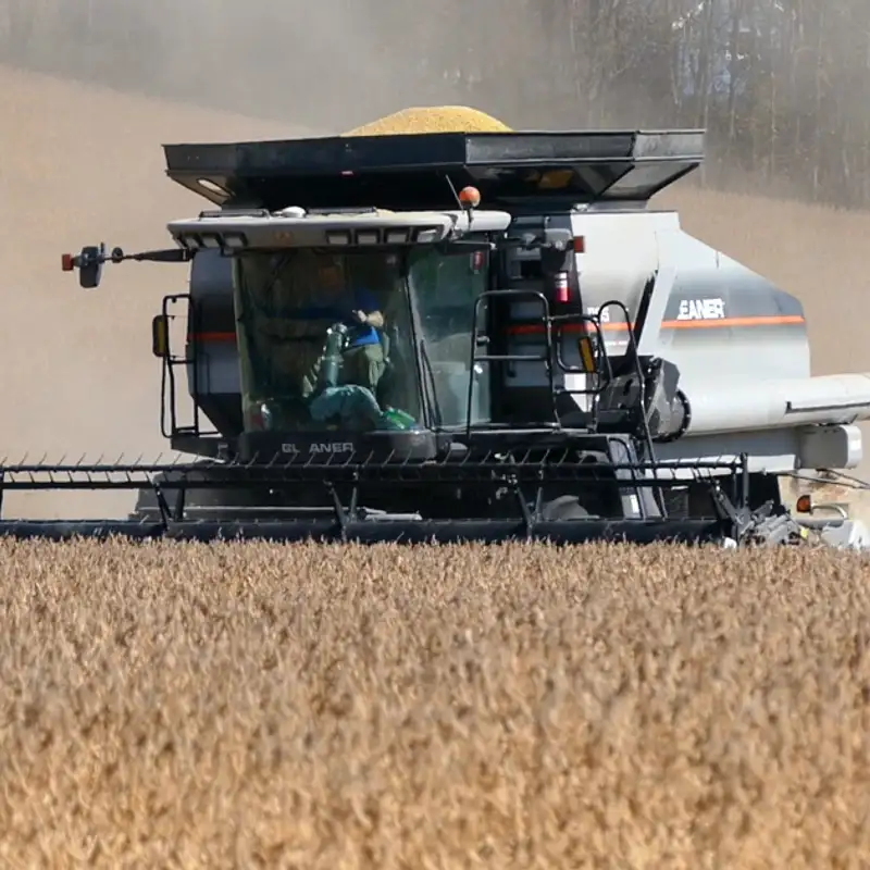 Soybean nutrient management: IDC concerns, a research wrap-up, and looking ahead to 2025