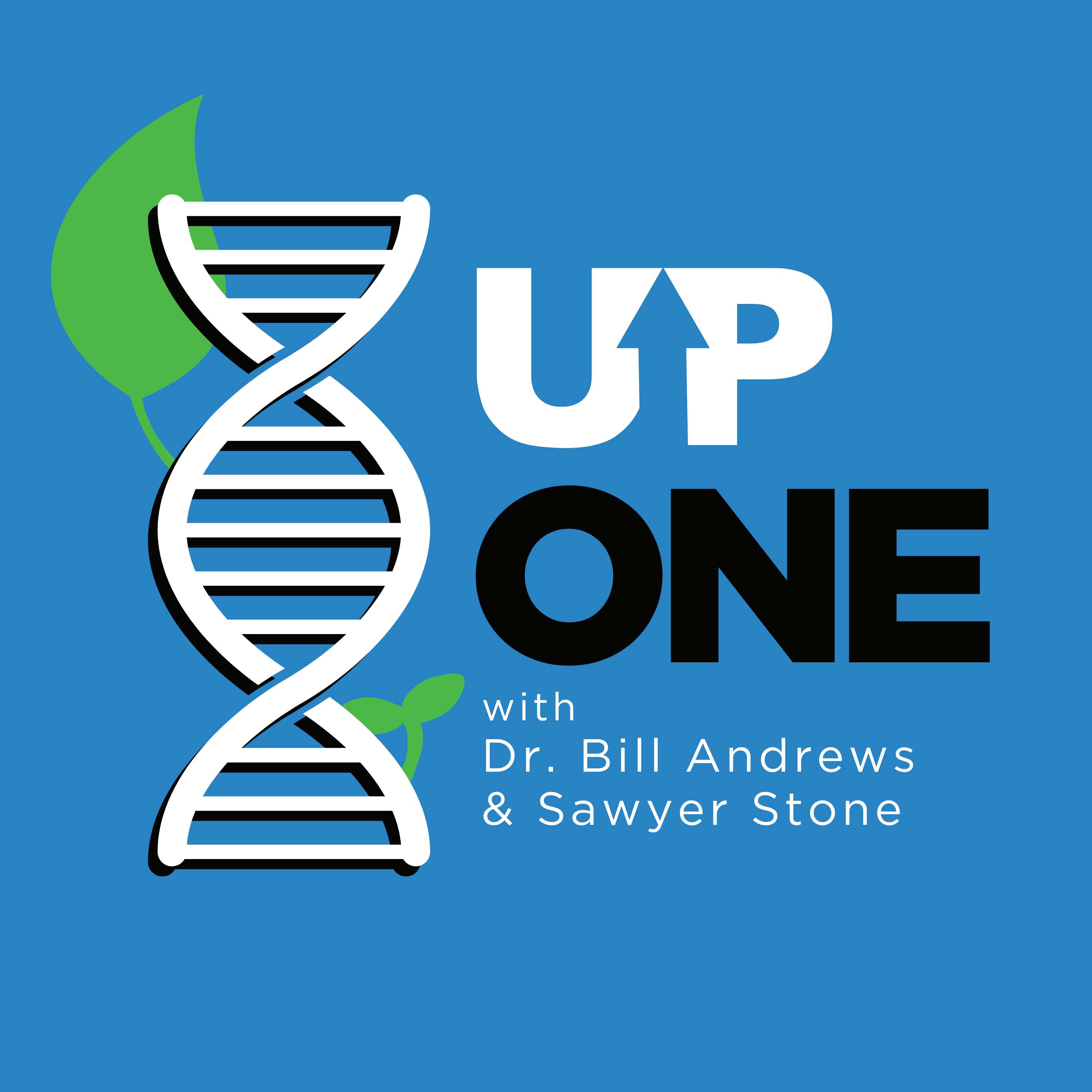 Up One