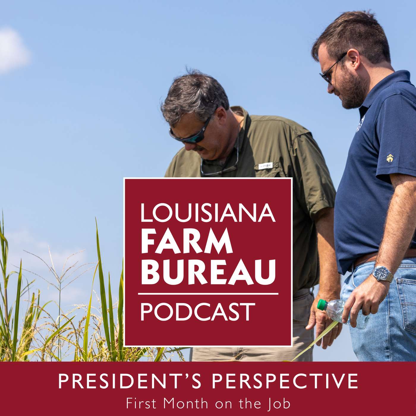 President's Perspective: First Month On The Job