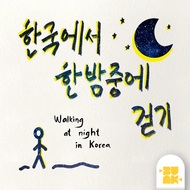 Walking at Night in Korea (한국에서 한밤중에 걷기)