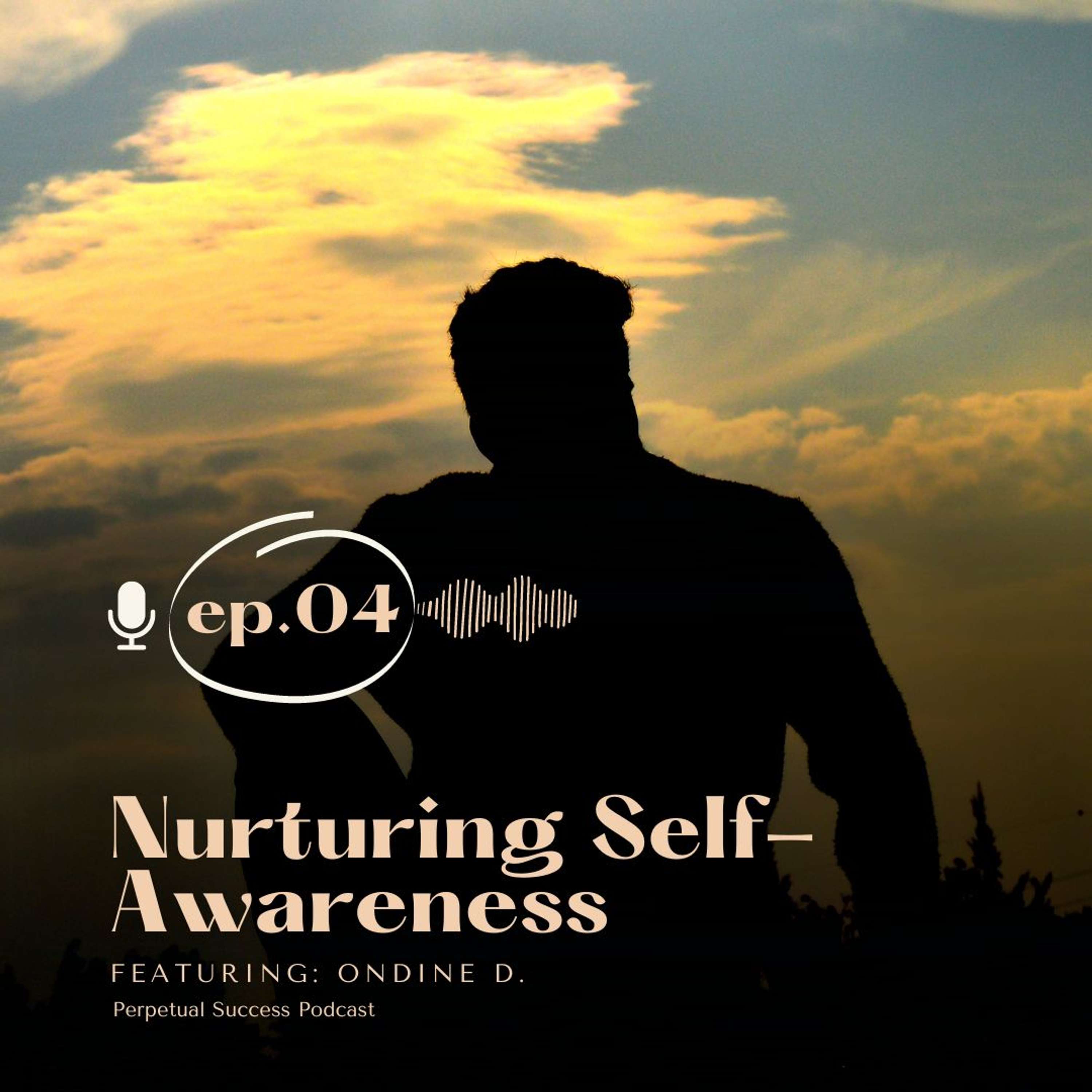 Nurturing Self-Awareness: The Foundation of Perpetual Success episode artwork