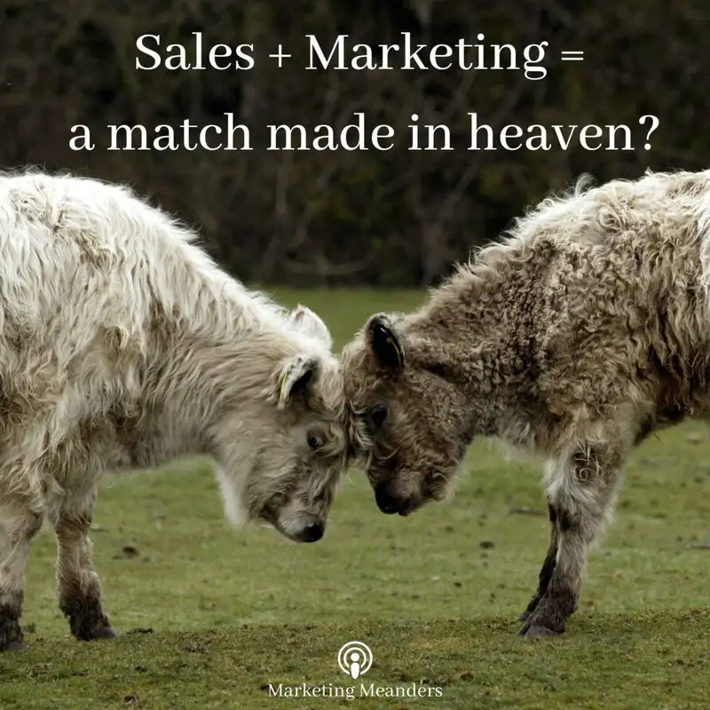 Sales + Marketing = a match made in heaven?