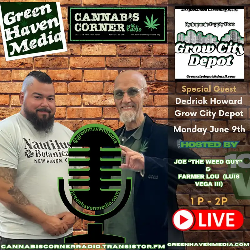 Cannabis Corner Radio: June 9, 2025