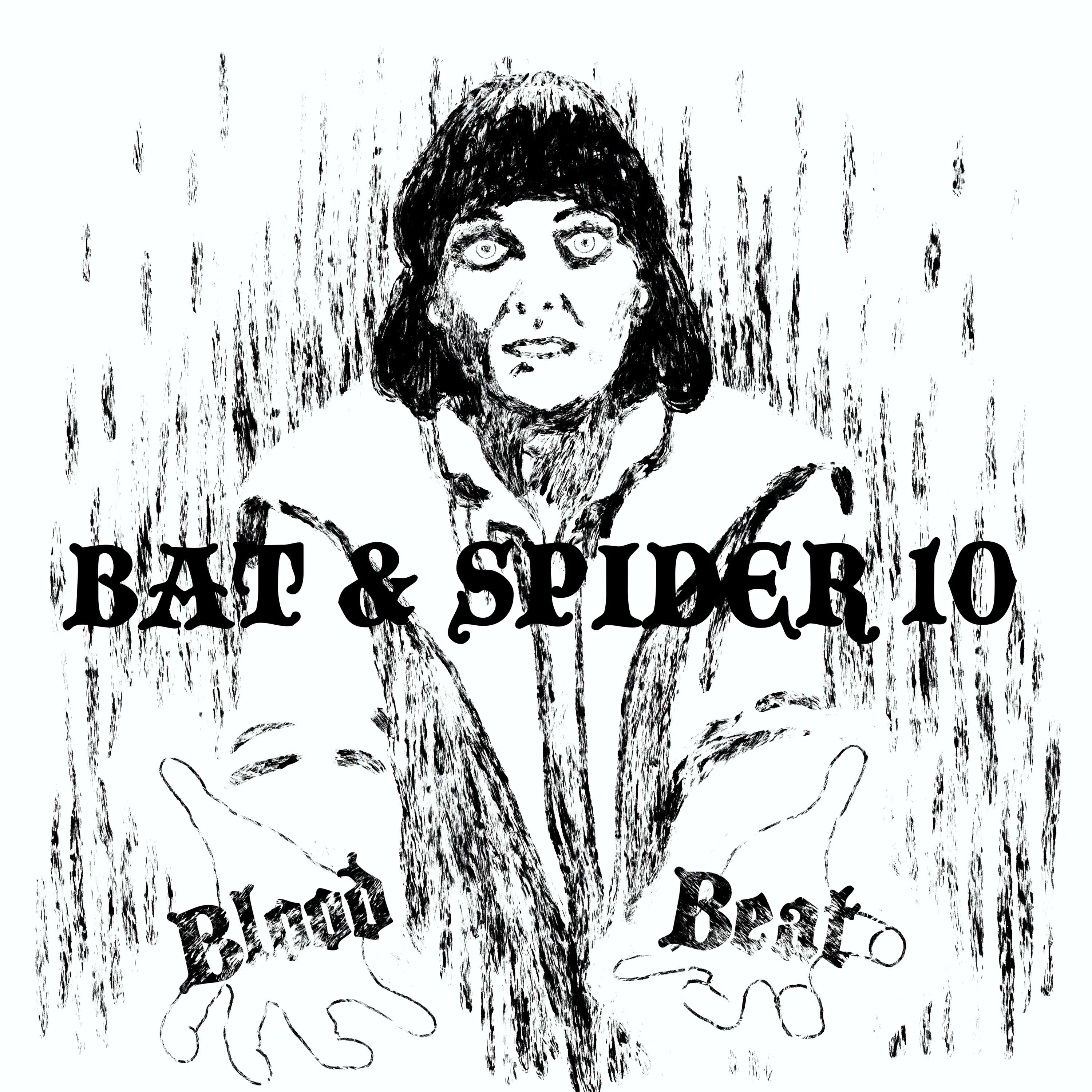 BAT AND SPIDER