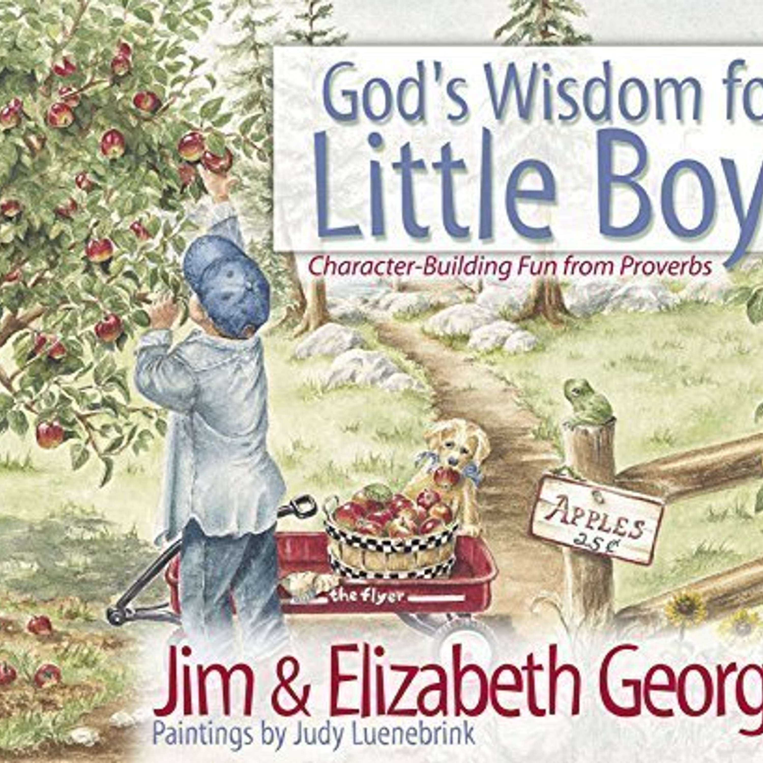 God's Wisdom for Little Boys thumbnail