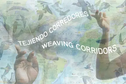 Tejiendo Corredores ~ Weaving Corridors