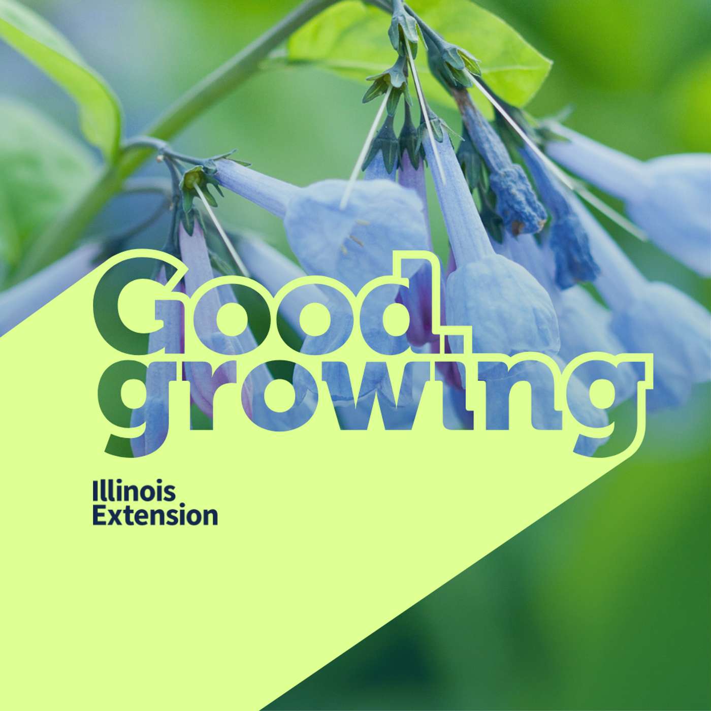 Good Growing