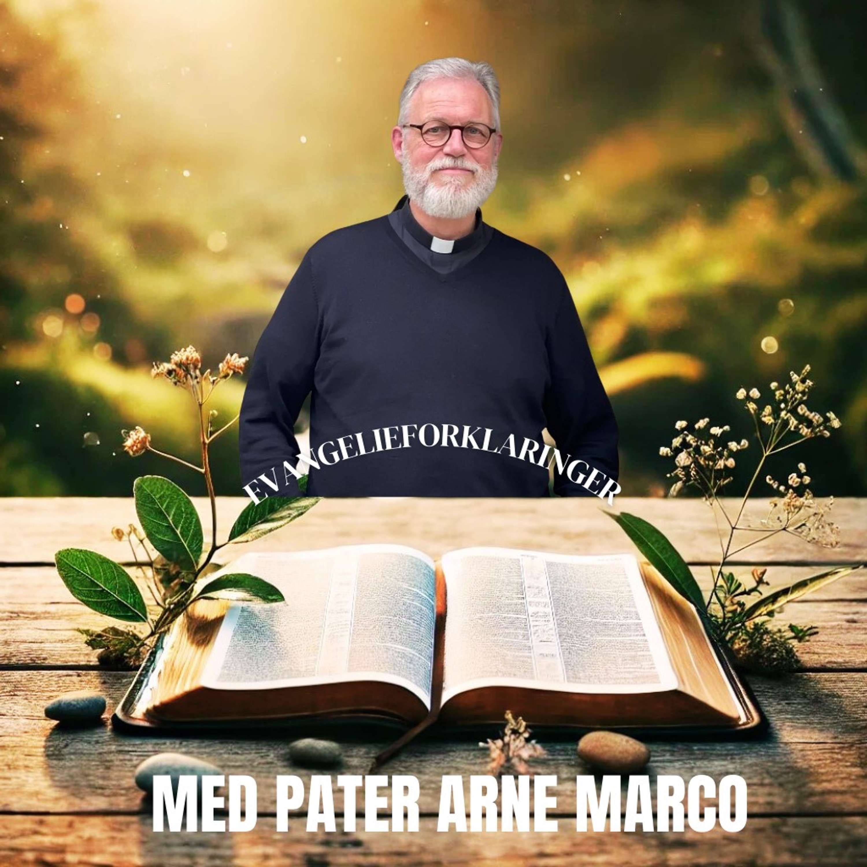 Evangelieforklaringer med pater Arne Marco