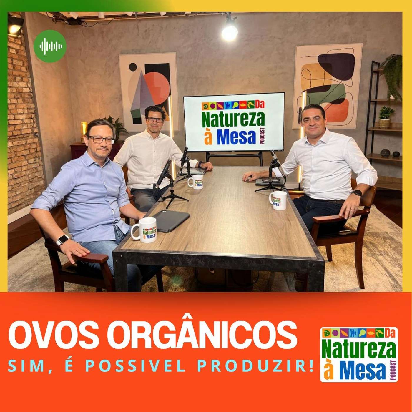 Sim, é possível produzir ovos orgânicos!